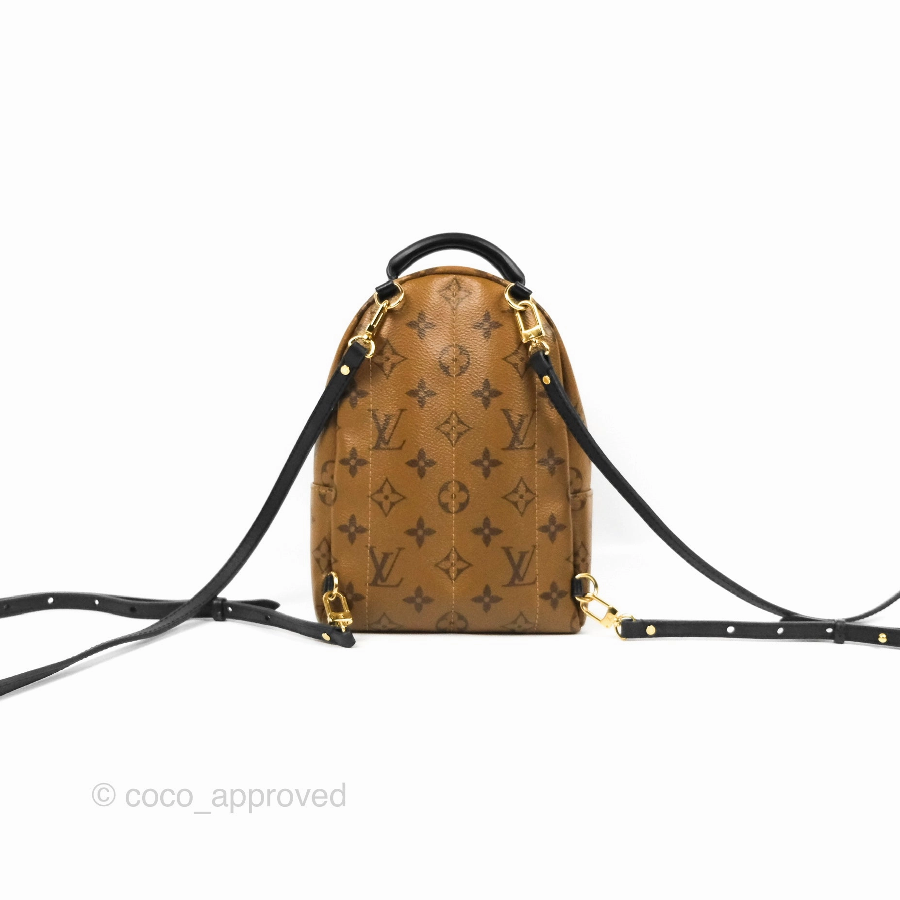Louis Vuitton Reverse Mini Palm Springs Backpack