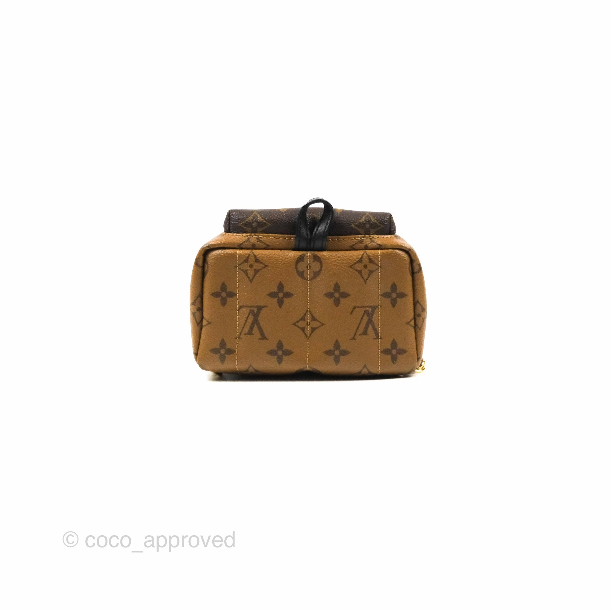 Louis Vuitton Reverse Mini Palm Springs Backpack