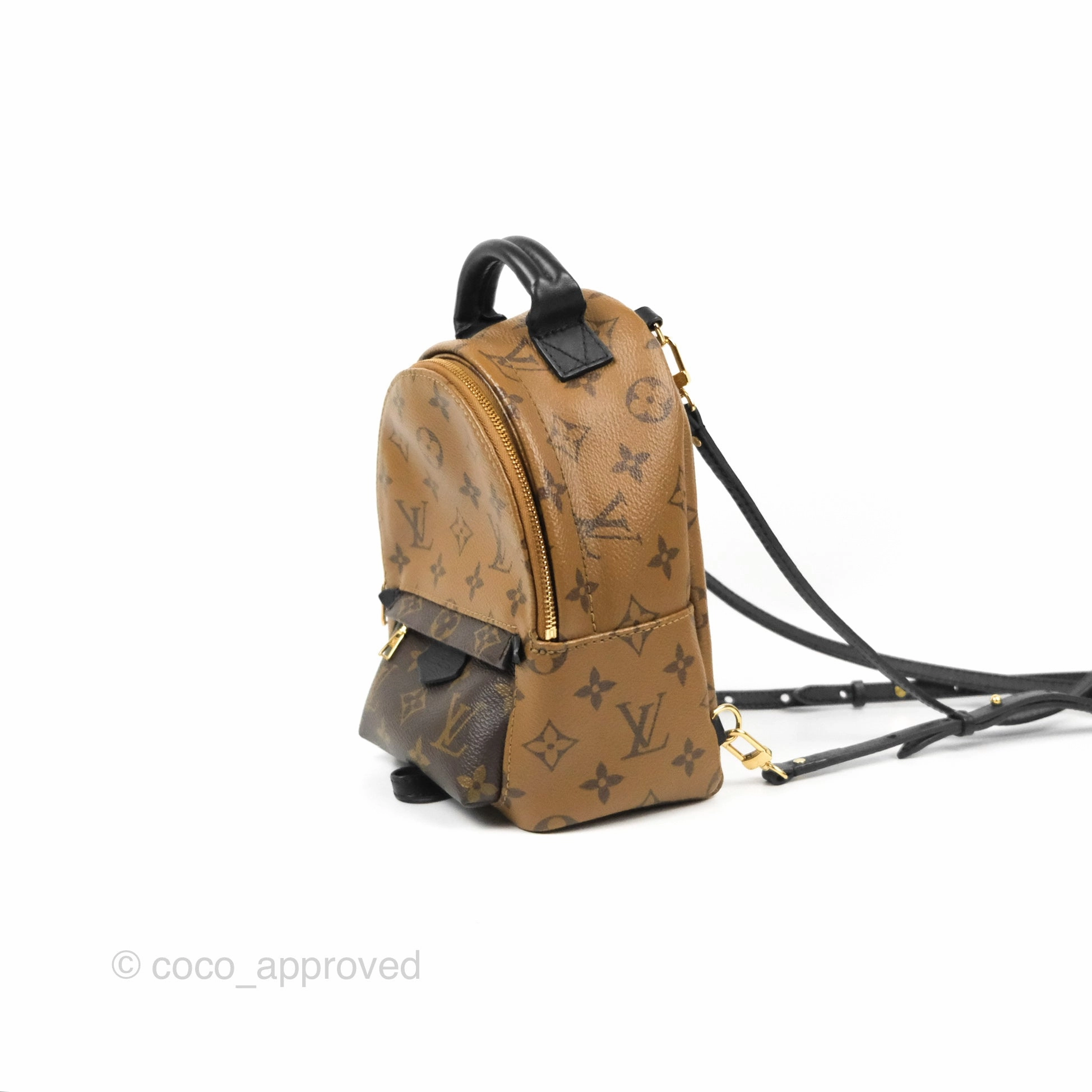 Louis Vuitton Reverse Mini Palm Springs Backpack