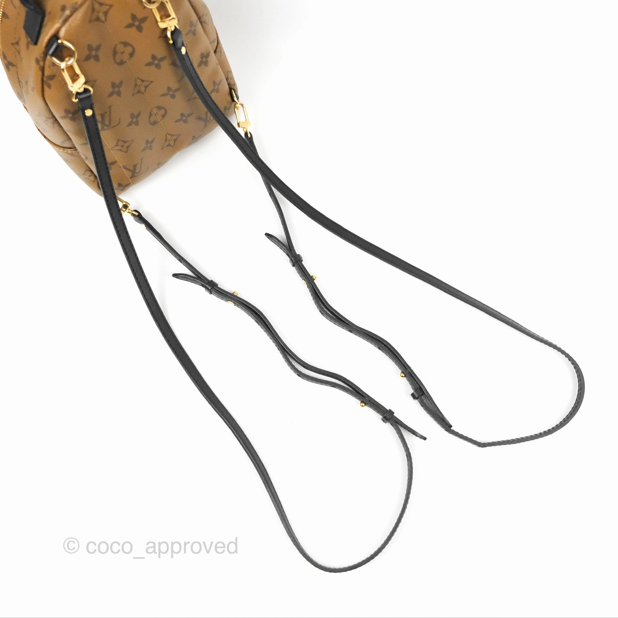 Louis Vuitton Reverse Mini Palm Springs Backpack