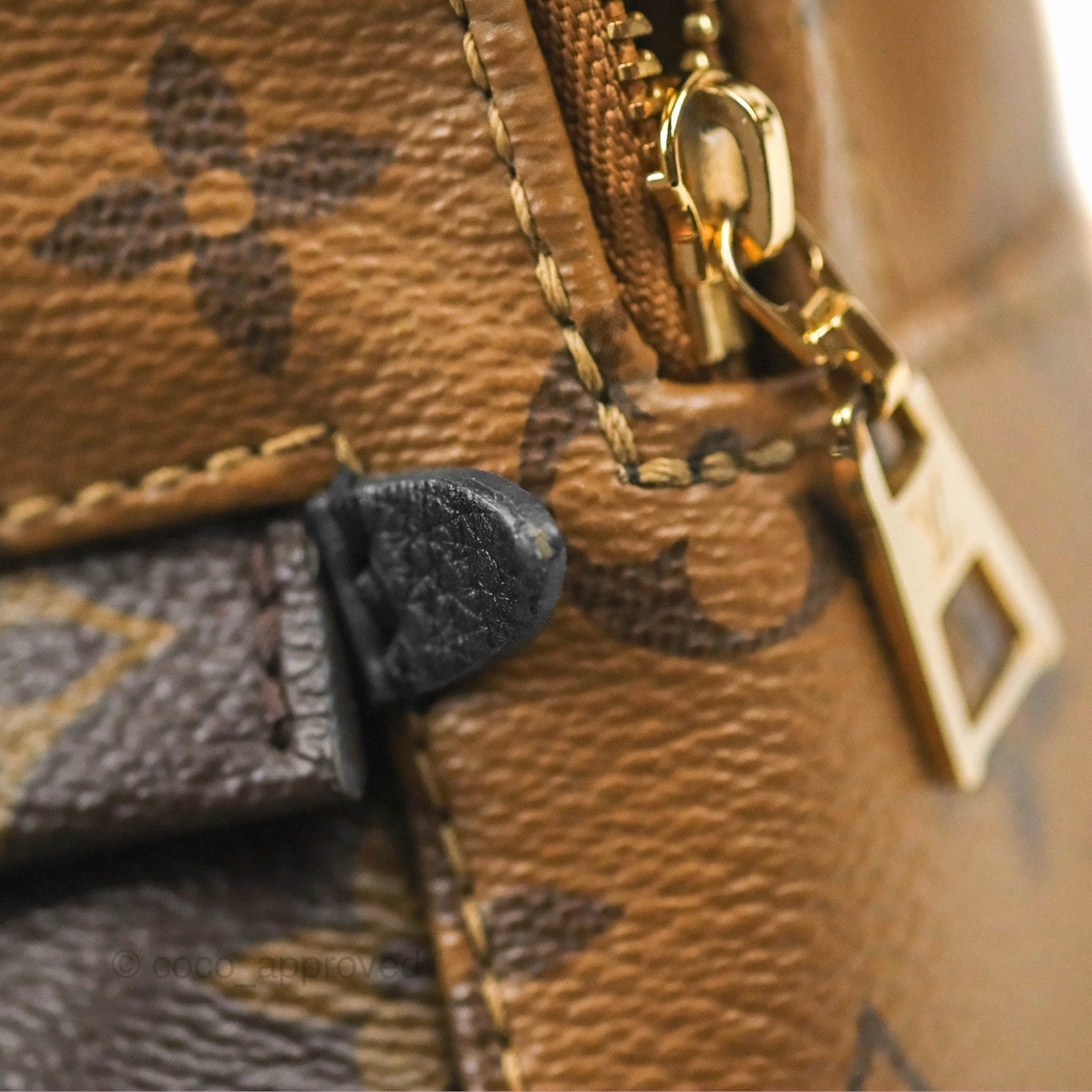 Louis Vuitton Reverse Mini Palm Springs Backpack
