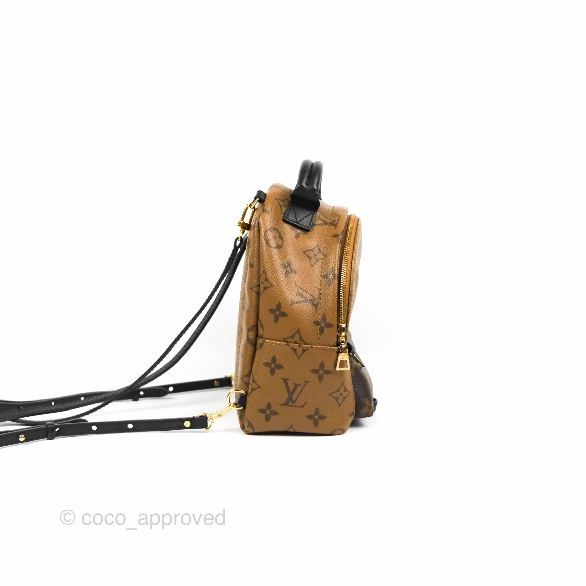 Louis Vuitton Reverse Mini Palm Springs Backpack