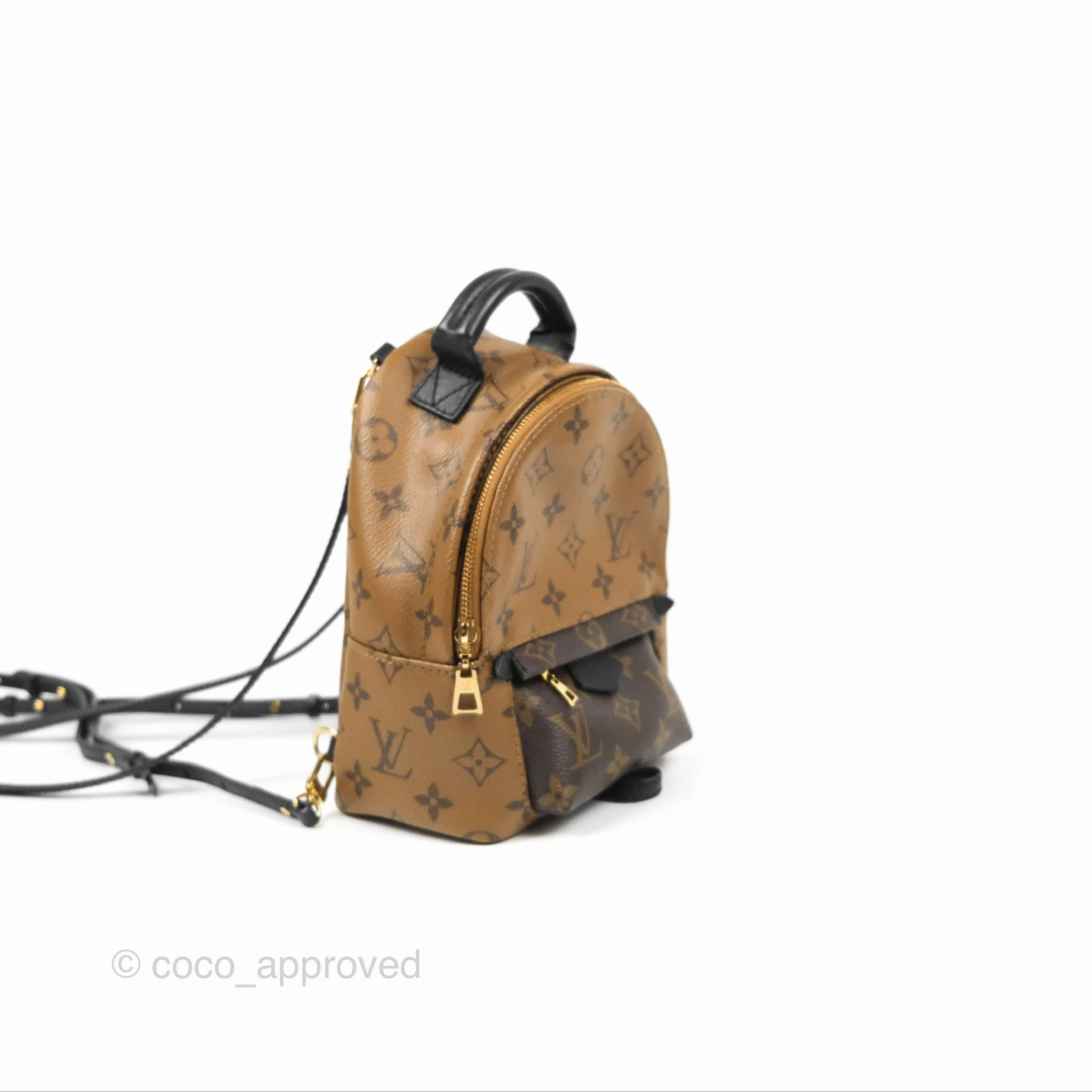 Louis Vuitton Reverse Mini Palm Springs Backpack
