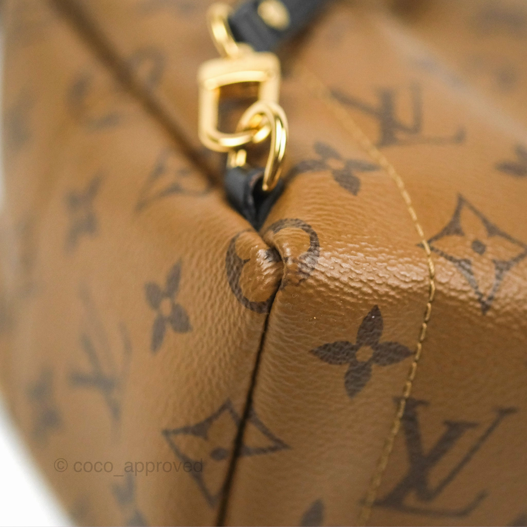 Louis Vuitton Reverse Mini Palm Springs Backpack