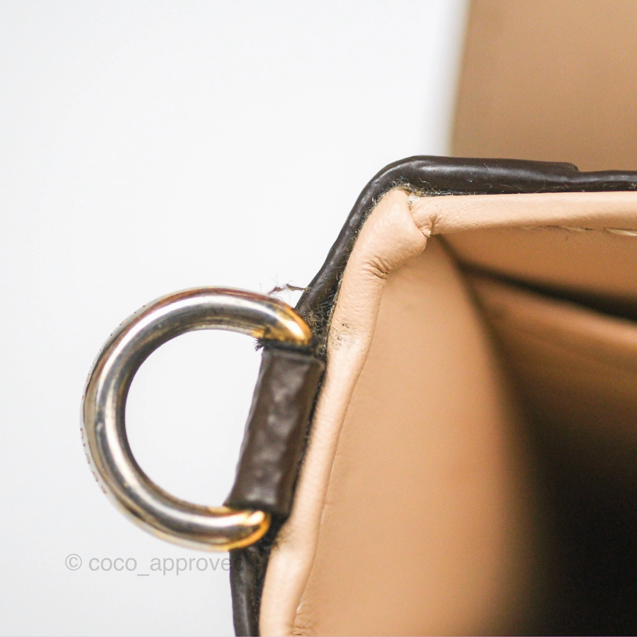 Louis Vuitton Reverse Monogram Pochette Vertical Trunk