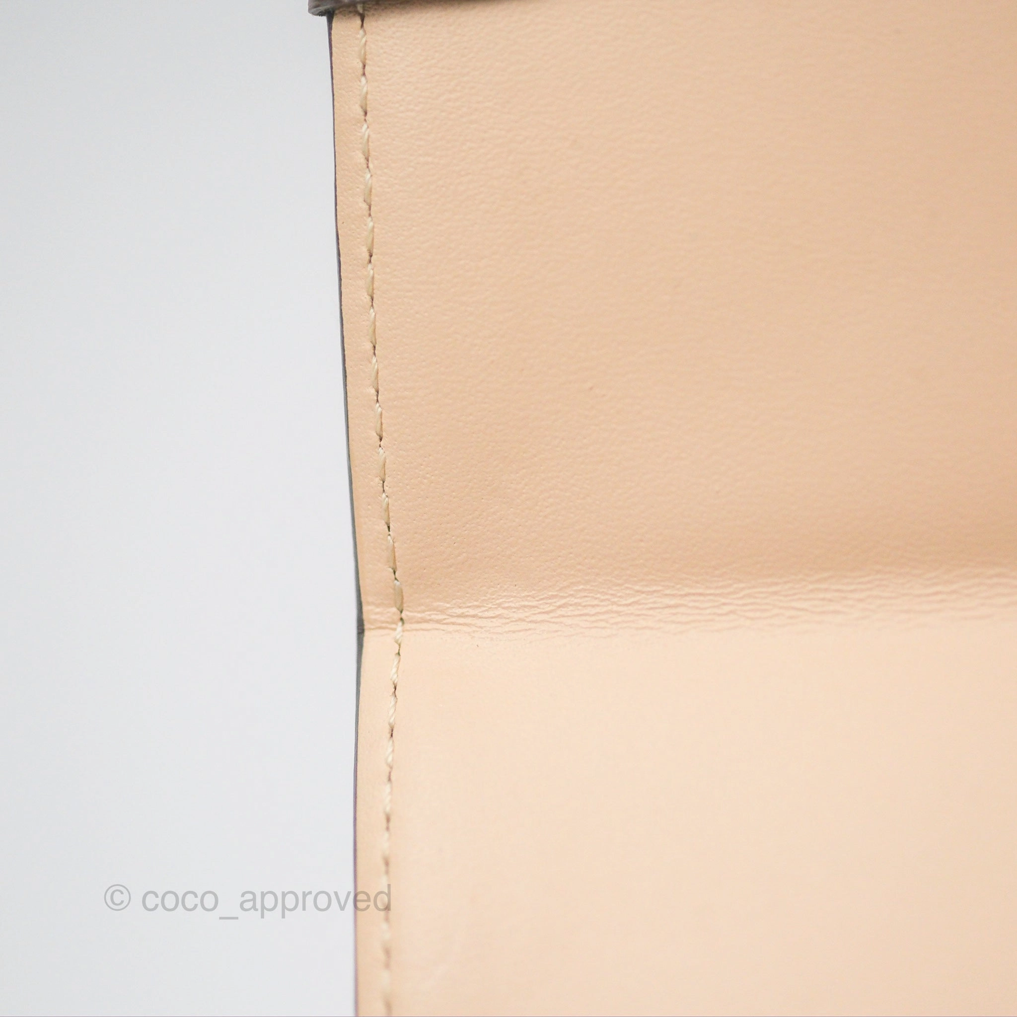 Louis Vuitton Reverse Monogram Pochette Vertical Trunk