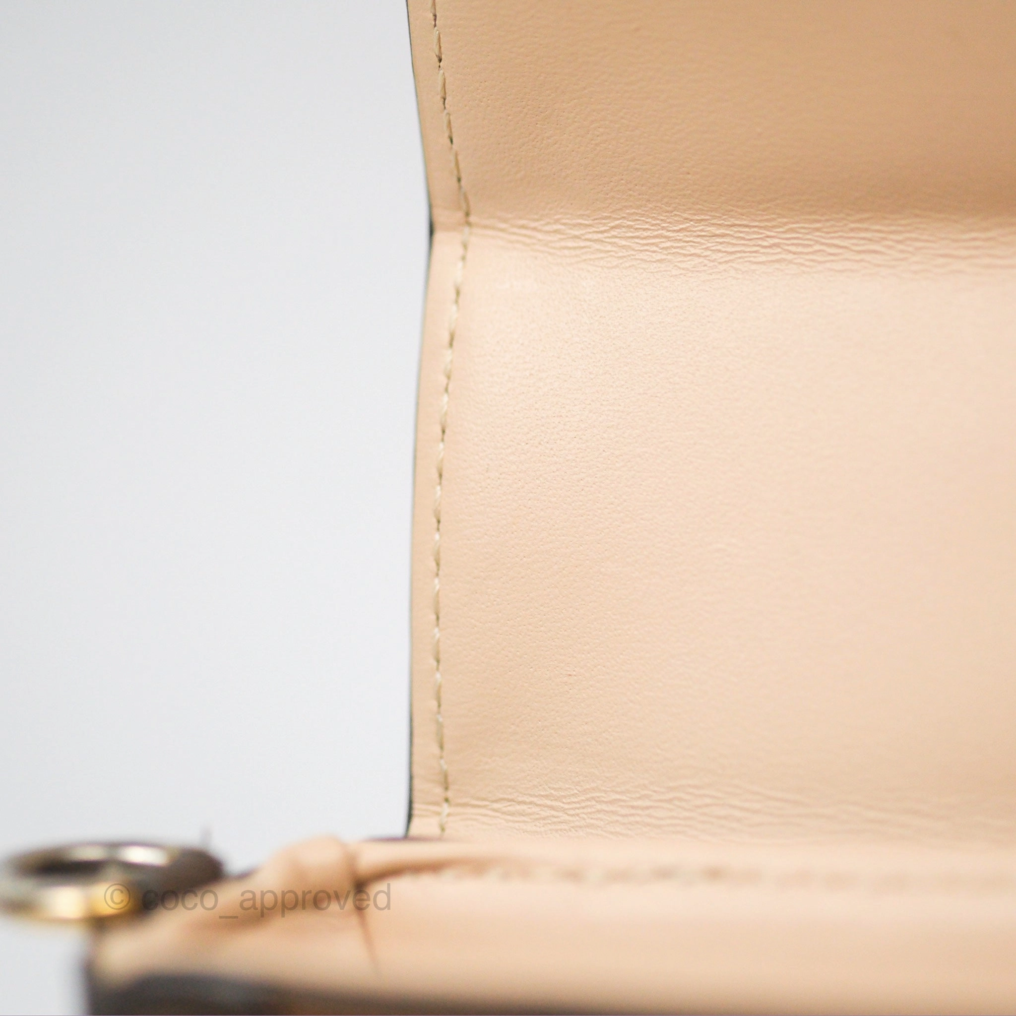 Louis Vuitton Reverse Monogram Pochette Vertical Trunk