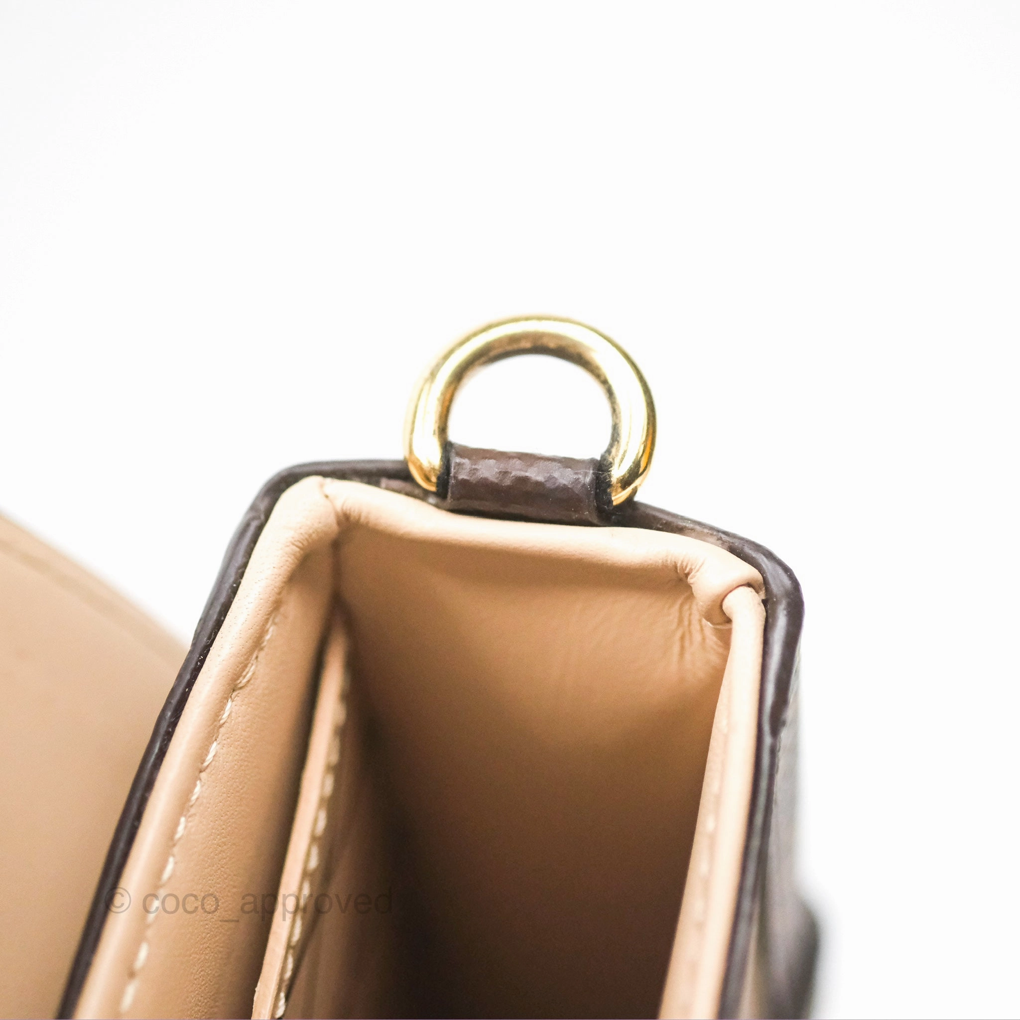 Louis Vuitton Reverse Monogram Pochette Vertical Trunk
