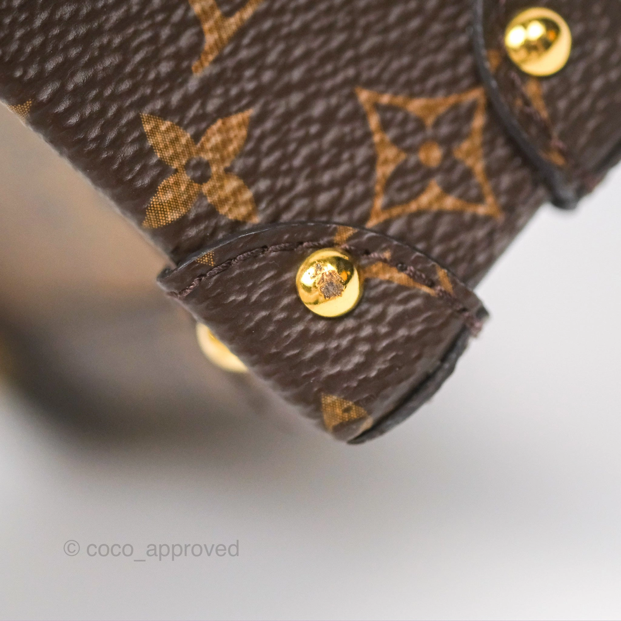 Louis Vuitton Reverse Monogram Pochette Vertical Trunk