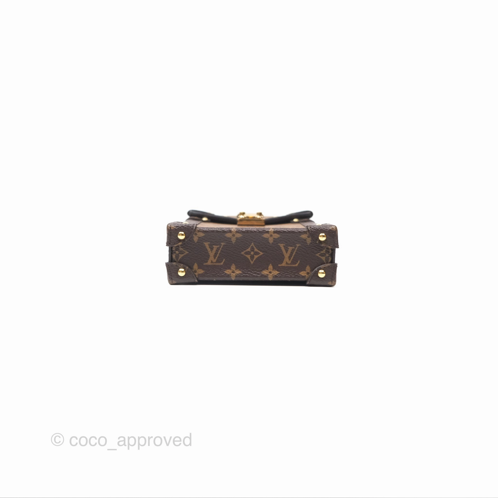 Louis Vuitton Reverse Monogram Pochette Vertical Trunk