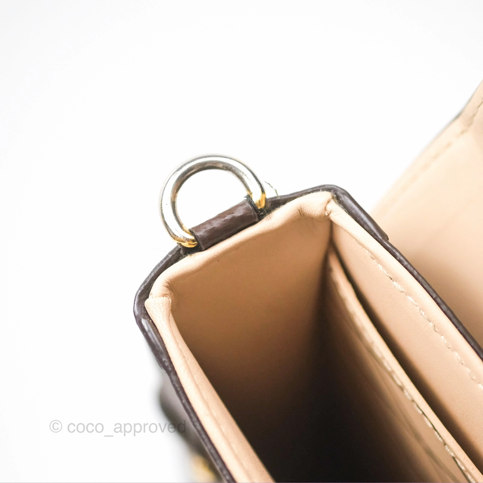 Louis Vuitton Reverse Monogram Pochette Vertical Trunk