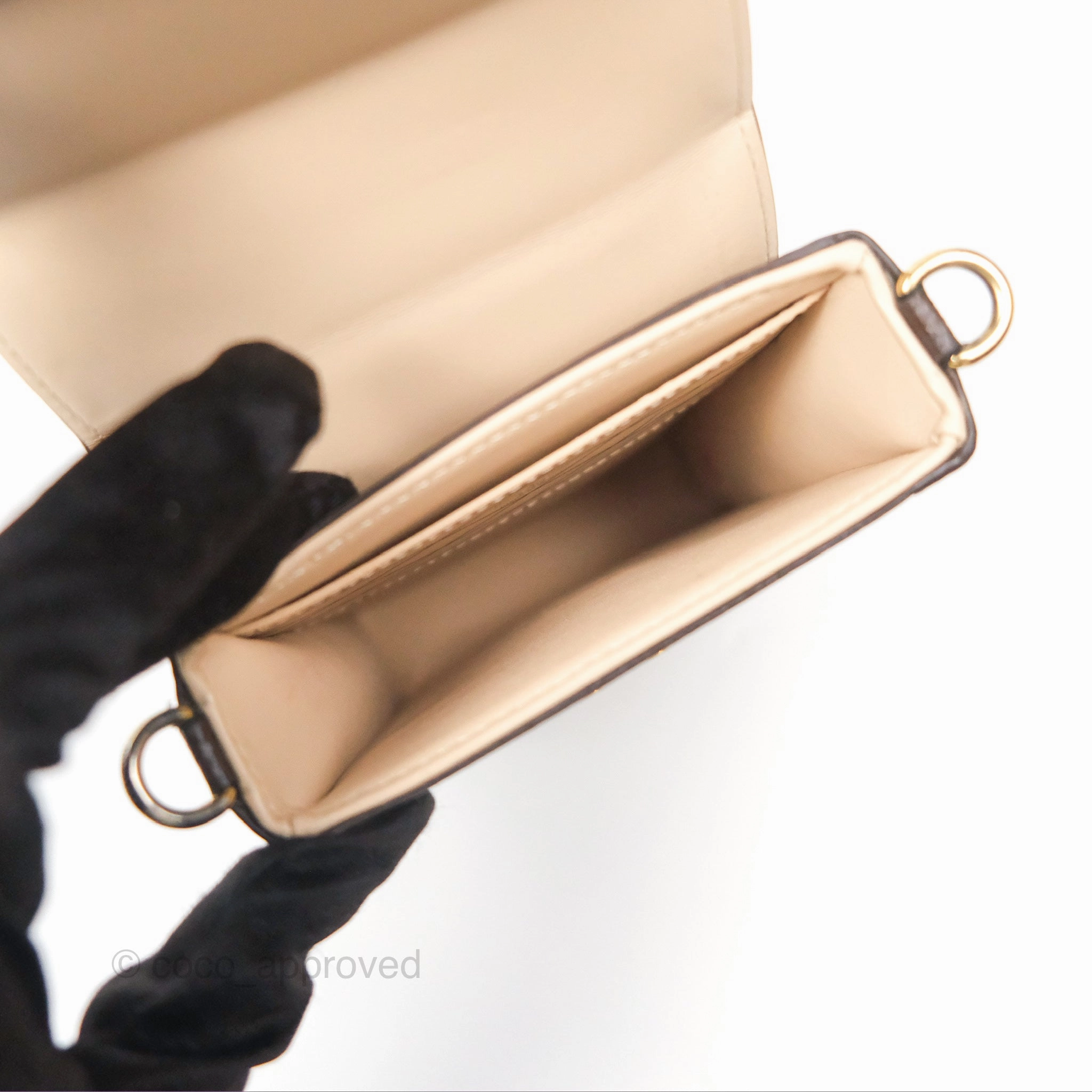 Louis Vuitton Reverse Monogram Pochette Vertical Trunk