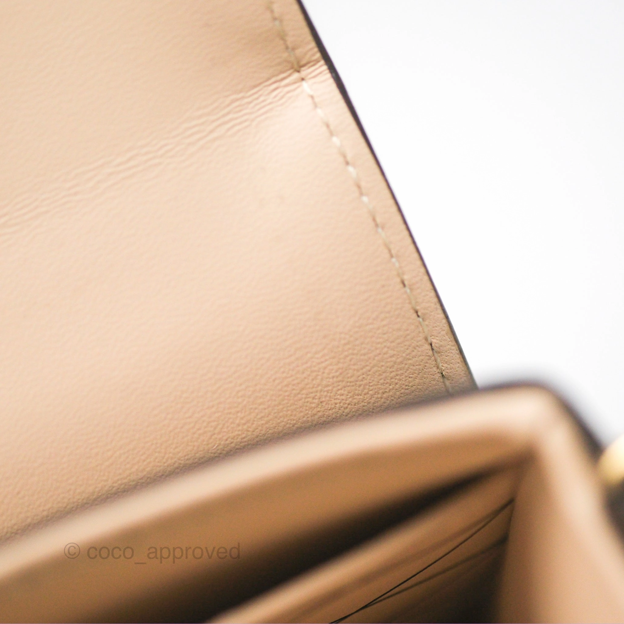 Louis Vuitton Reverse Monogram Pochette Vertical Trunk