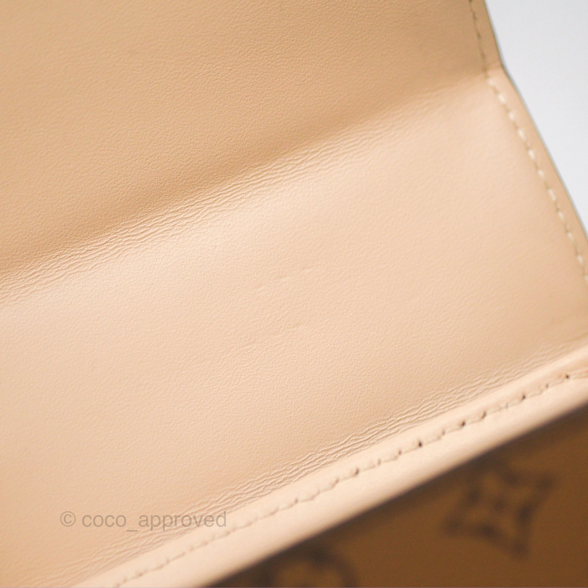 Louis Vuitton Reverse Monogram Pochette Vertical Trunk