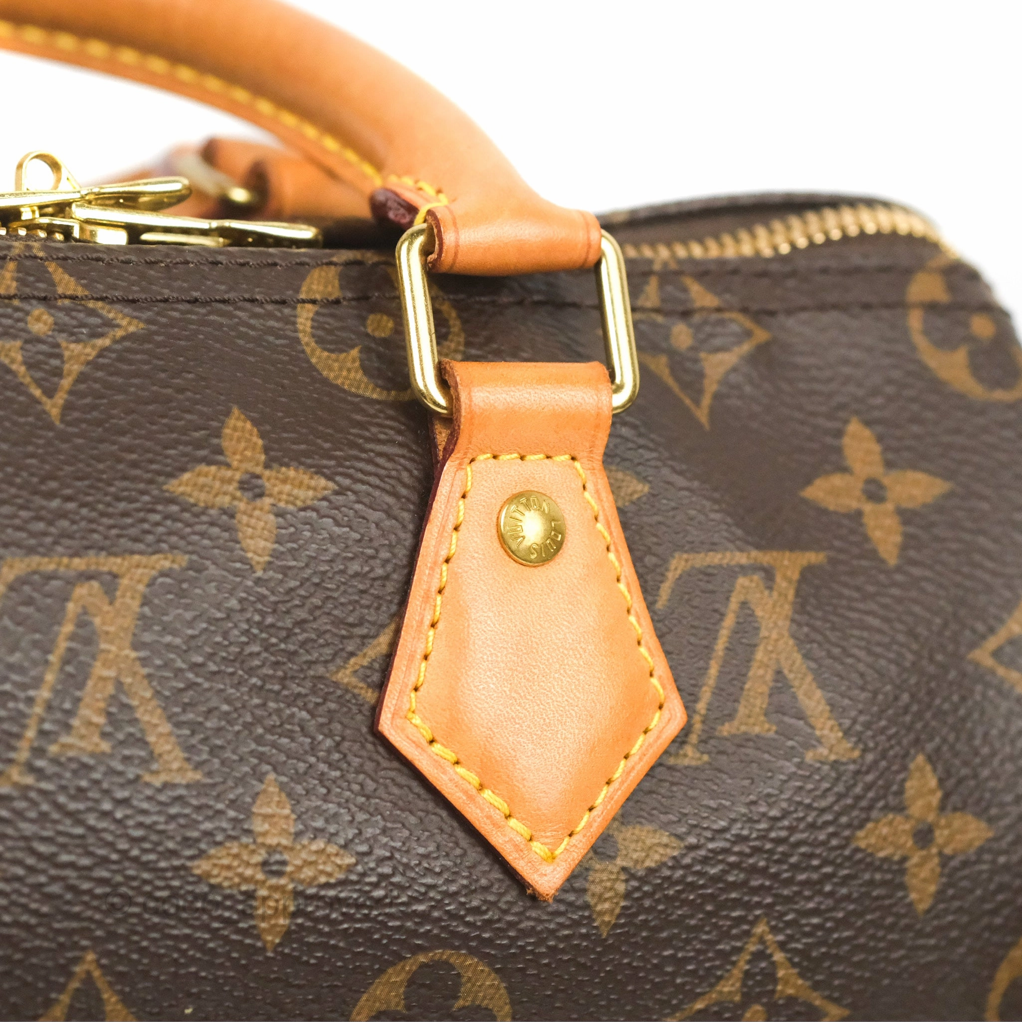 Louis Vuitton Speedy 25 Monogram Canvas
