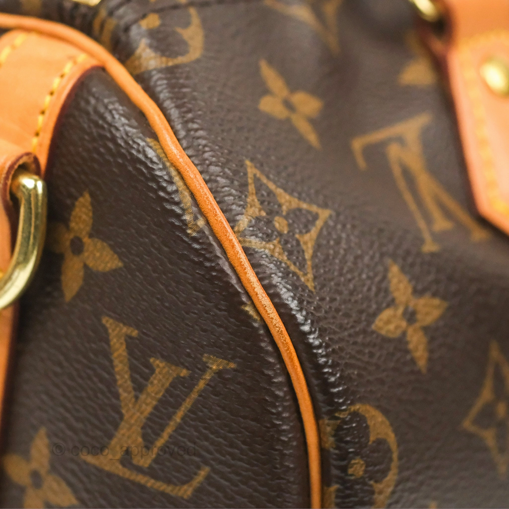 Louis Vuitton Speedy 25 Monogram Canvas