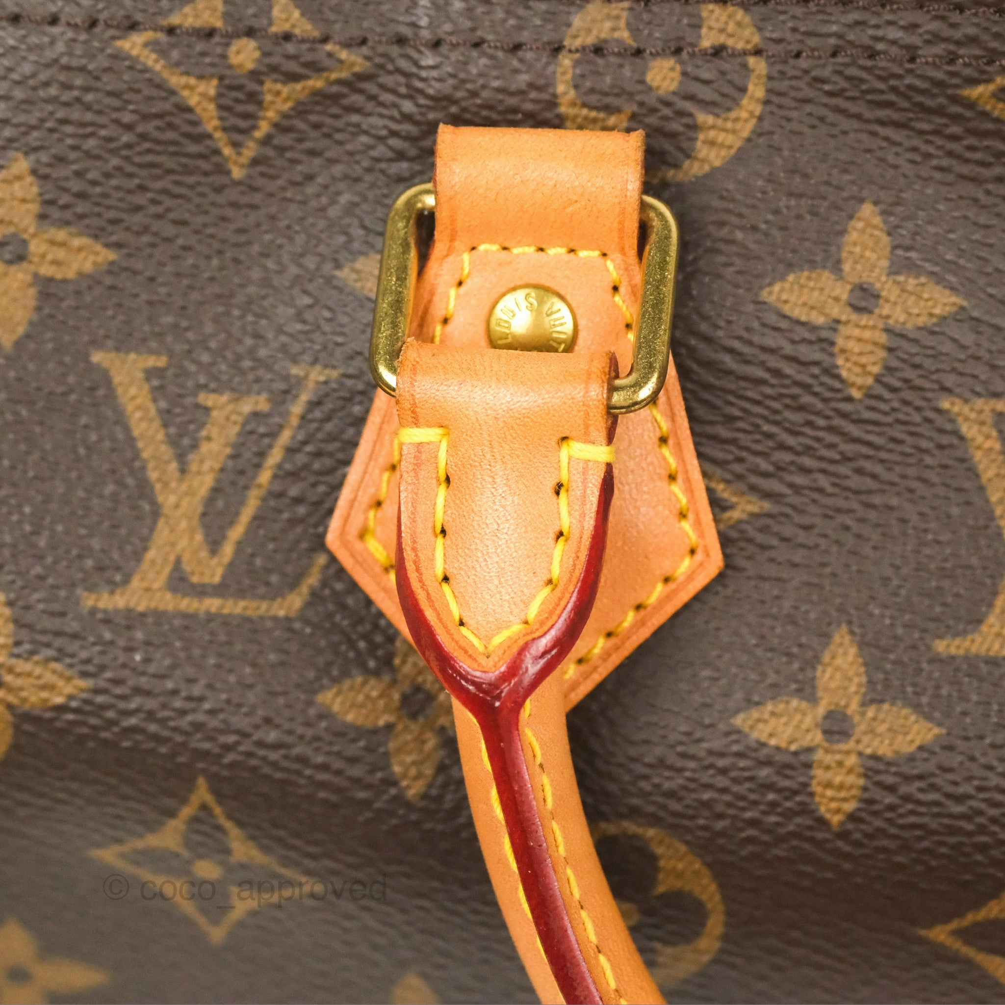 Louis Vuitton Speedy 25 Monogram Canvas
