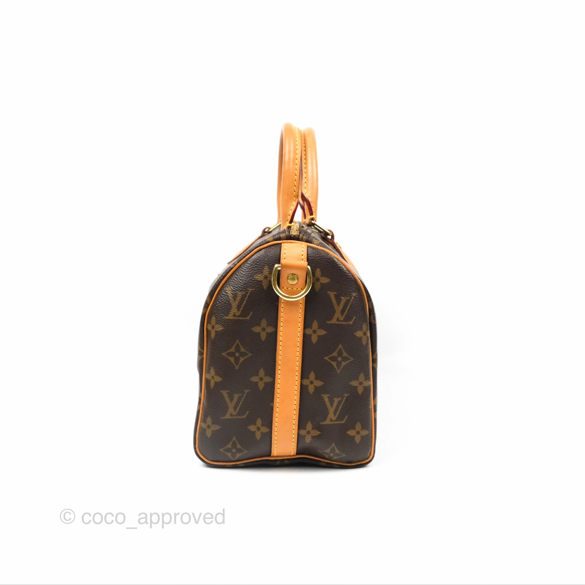 Louis Vuitton Speedy 25 Monogram Canvas
