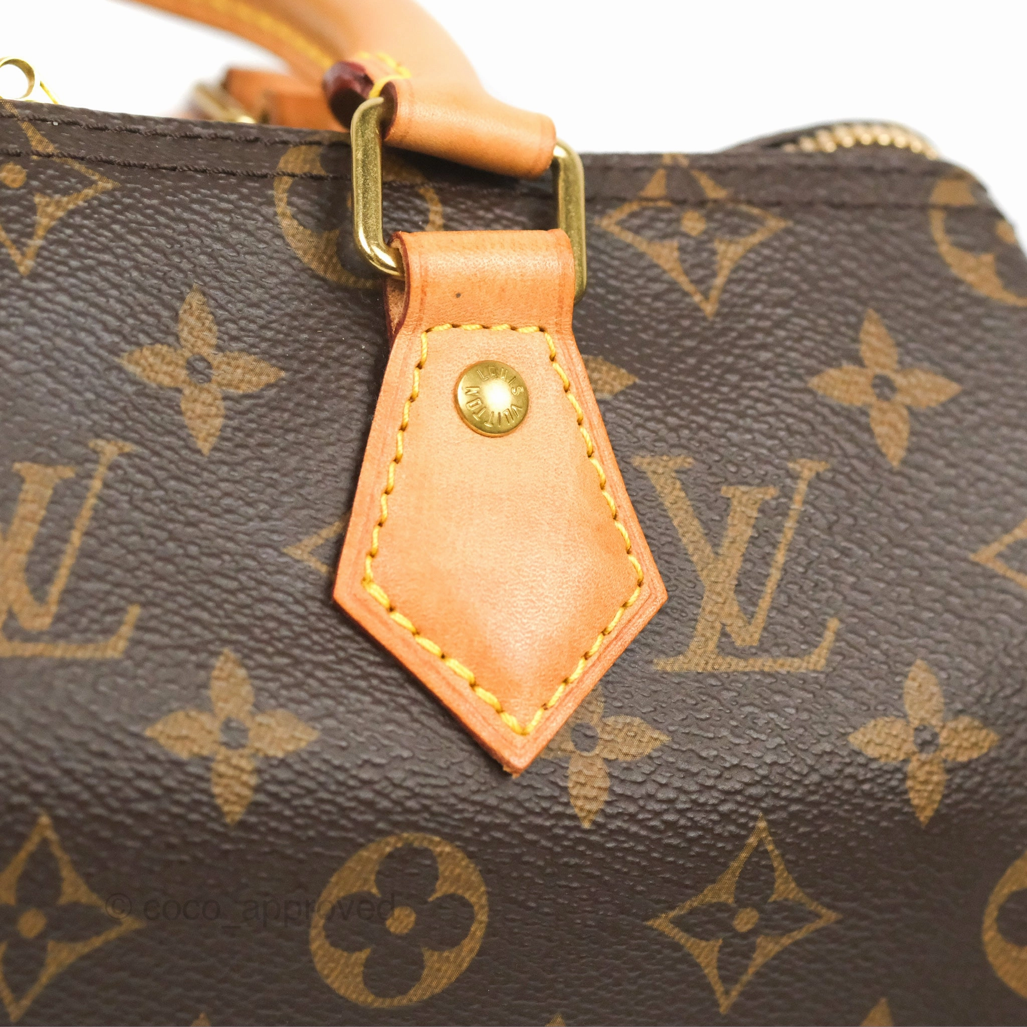 Louis Vuitton Speedy 25 Monogram Canvas