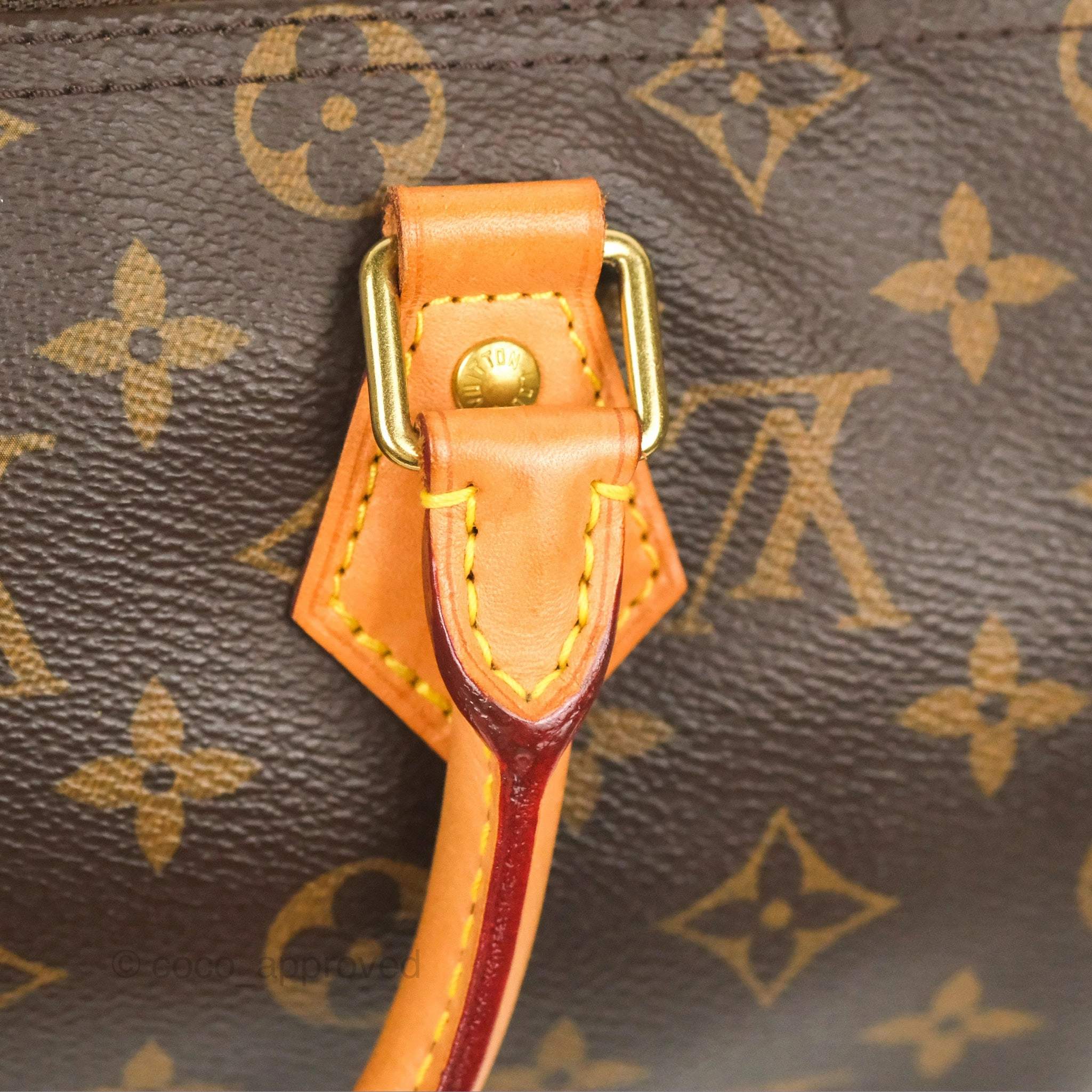 Louis Vuitton Speedy 25 Monogram Canvas