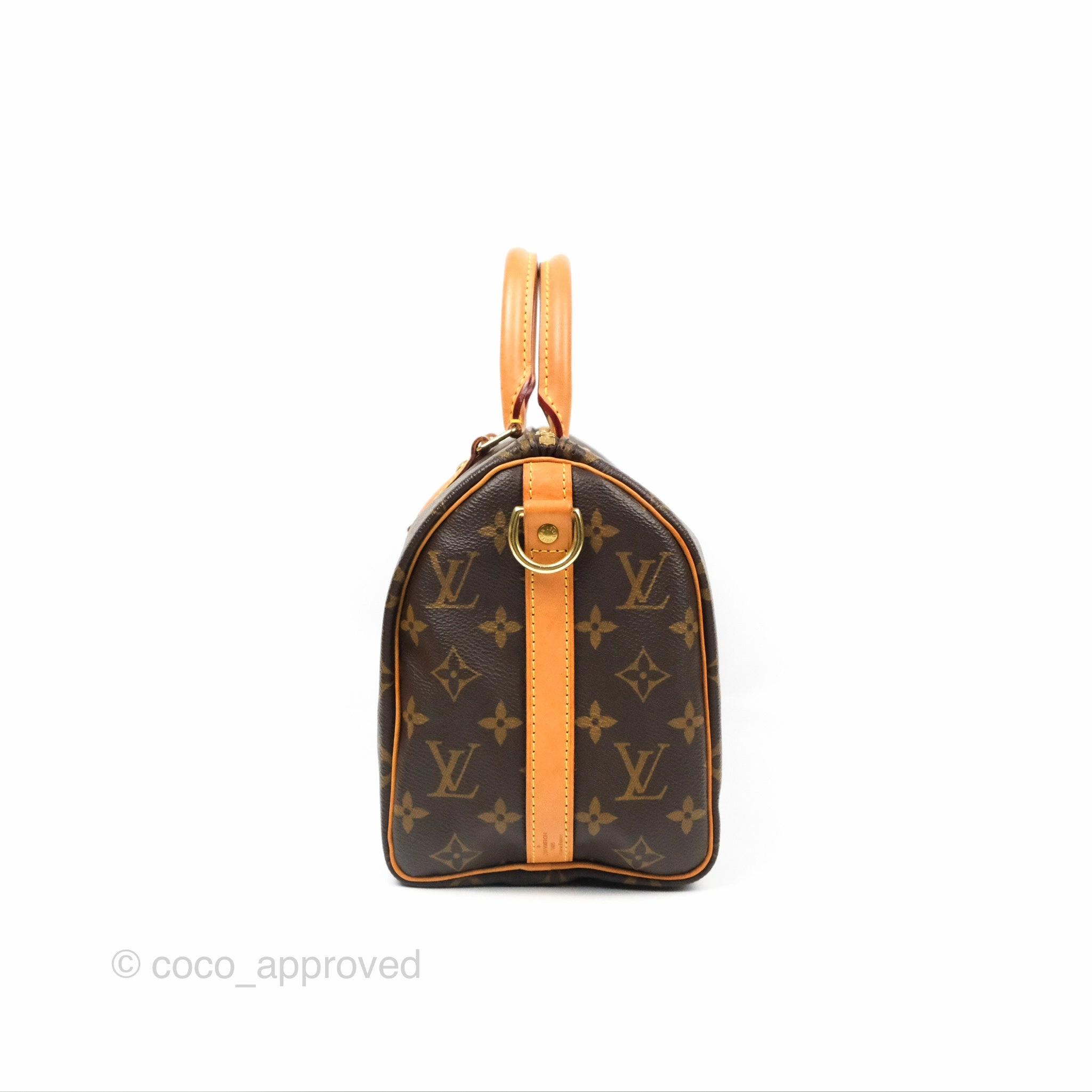 Louis Vuitton Speedy 25 Monogram Canvas