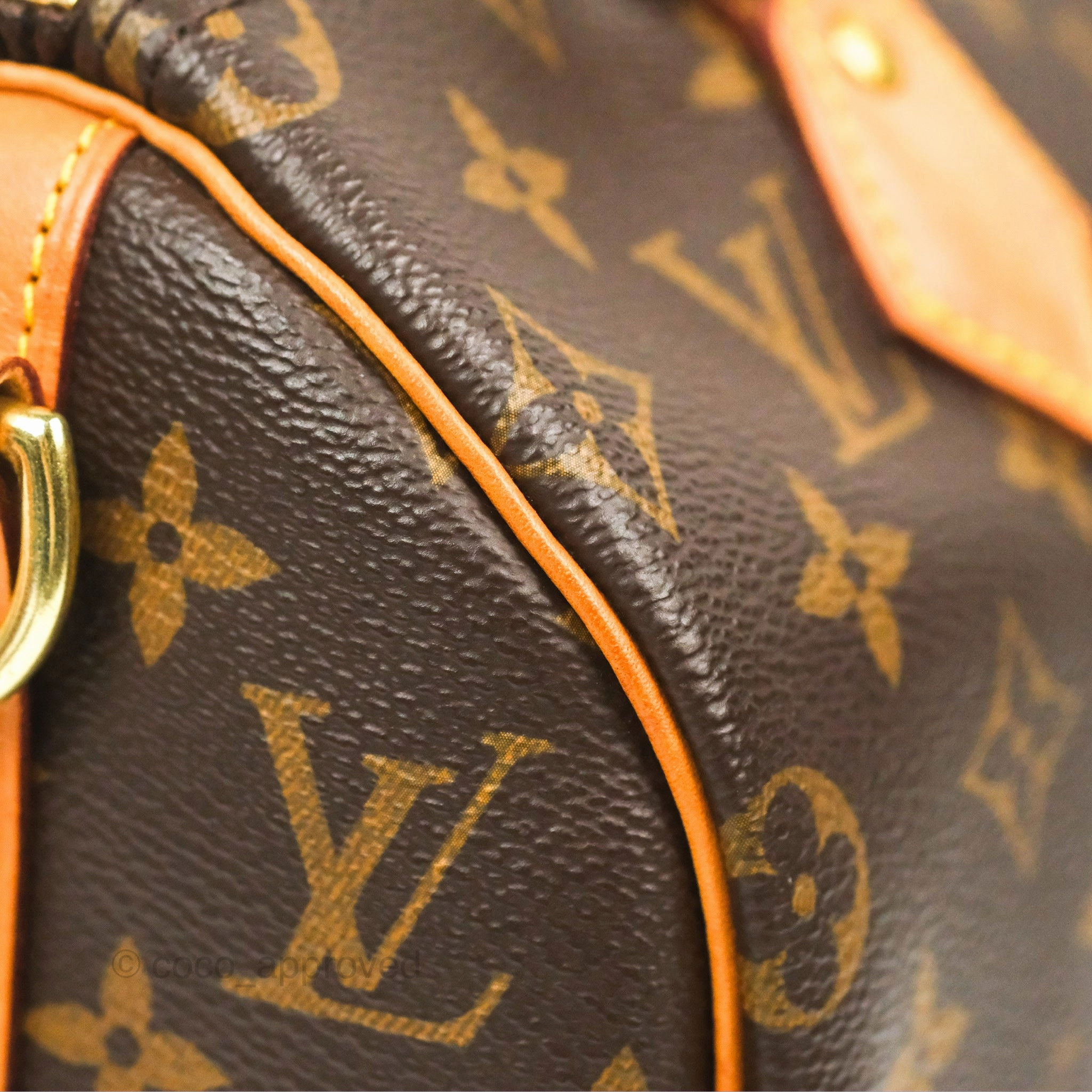 Louis Vuitton Speedy 25 Monogram Canvas