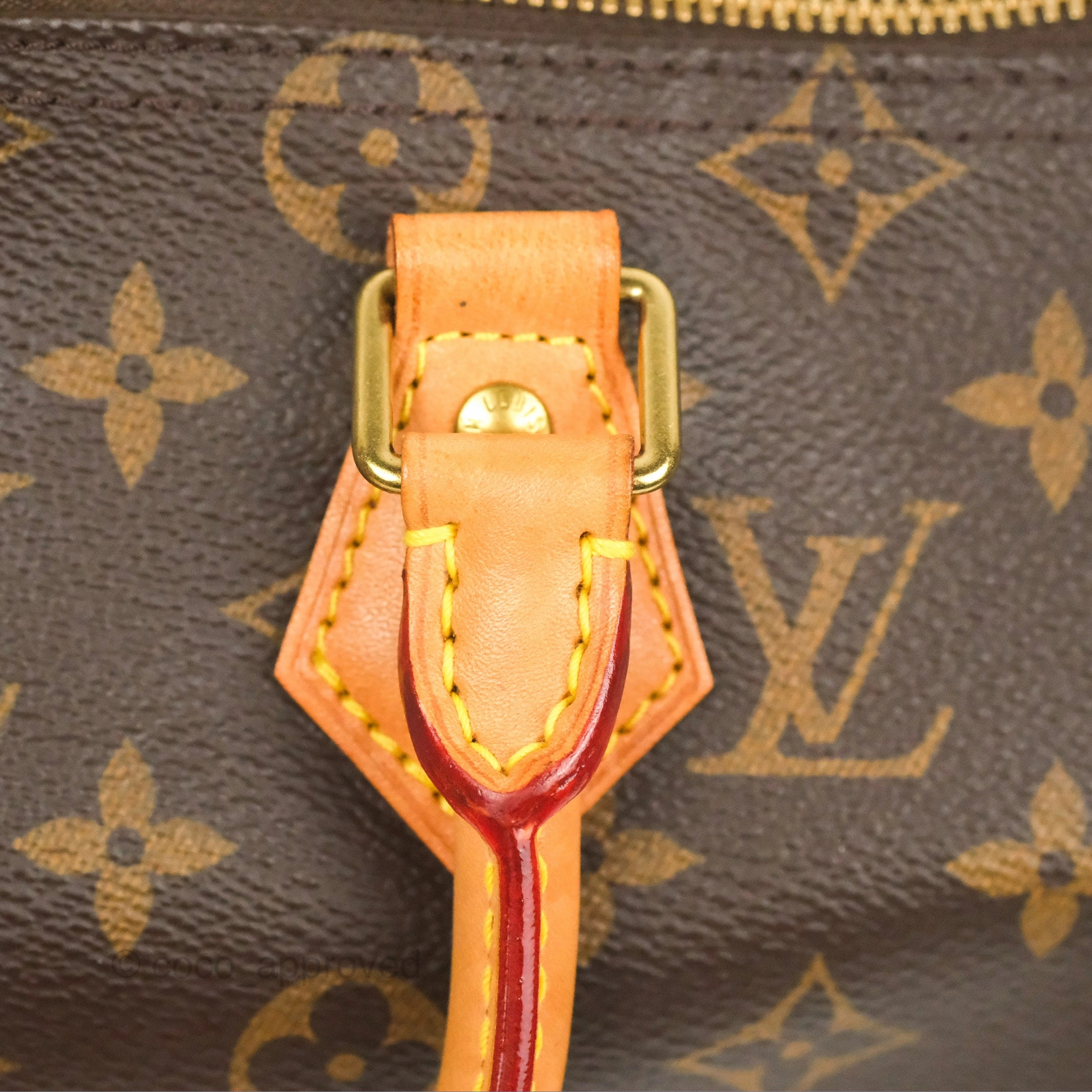 Louis Vuitton Speedy 25 Monogram Canvas