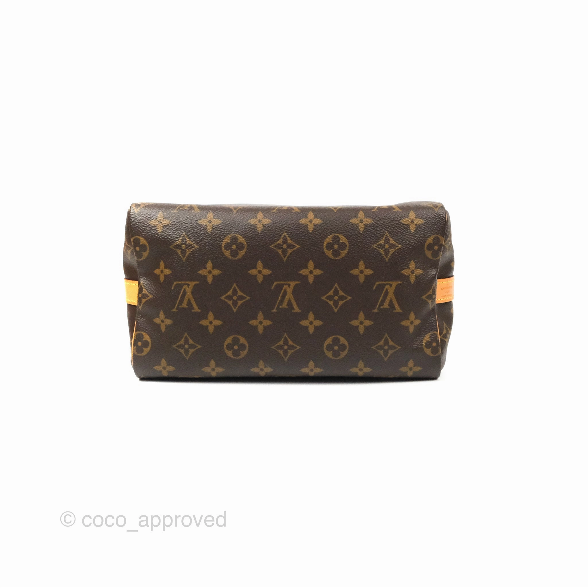 Louis Vuitton Speedy 25 Monogram Canvas