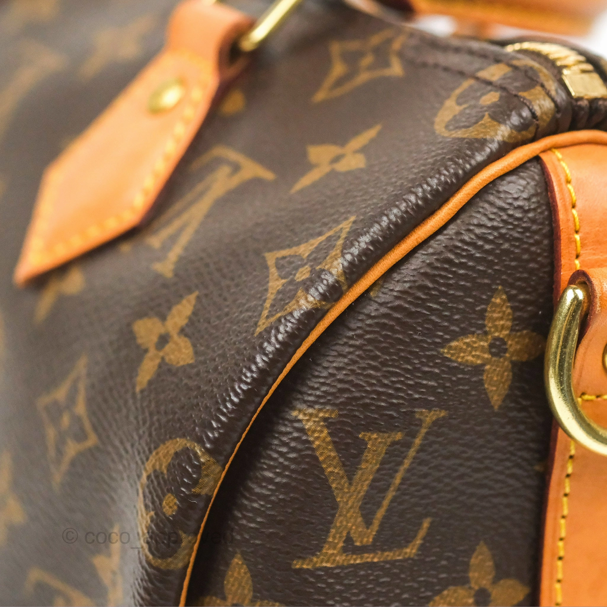 Louis Vuitton Speedy 25 Monogram Canvas