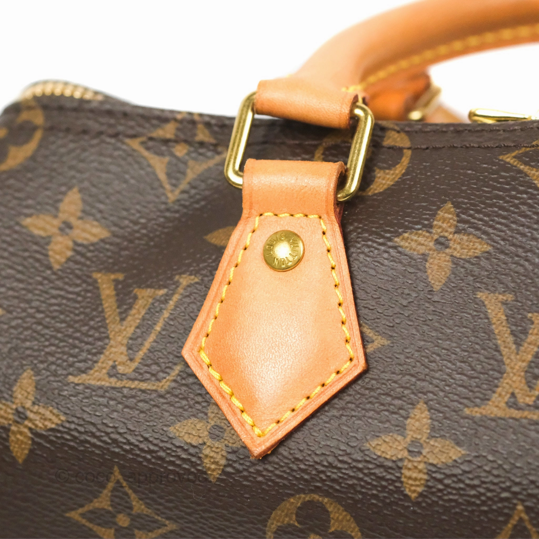 Louis Vuitton Speedy 25 Monogram Canvas