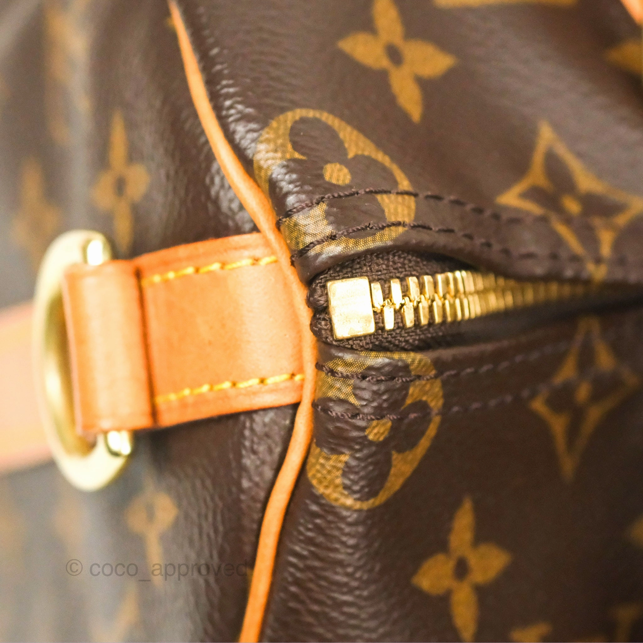 Louis Vuitton Speedy 25 Monogram Canvas