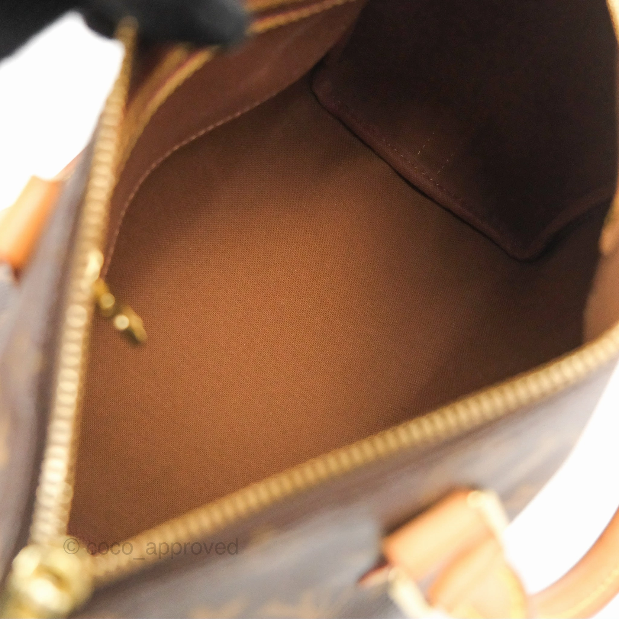 Louis Vuitton Speedy 25 Monogram Canvas