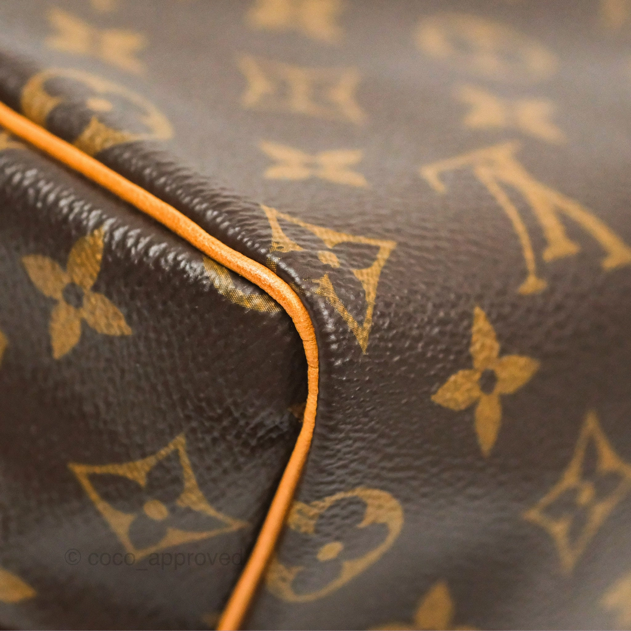 Louis Vuitton Speedy 25 Monogram Canvas