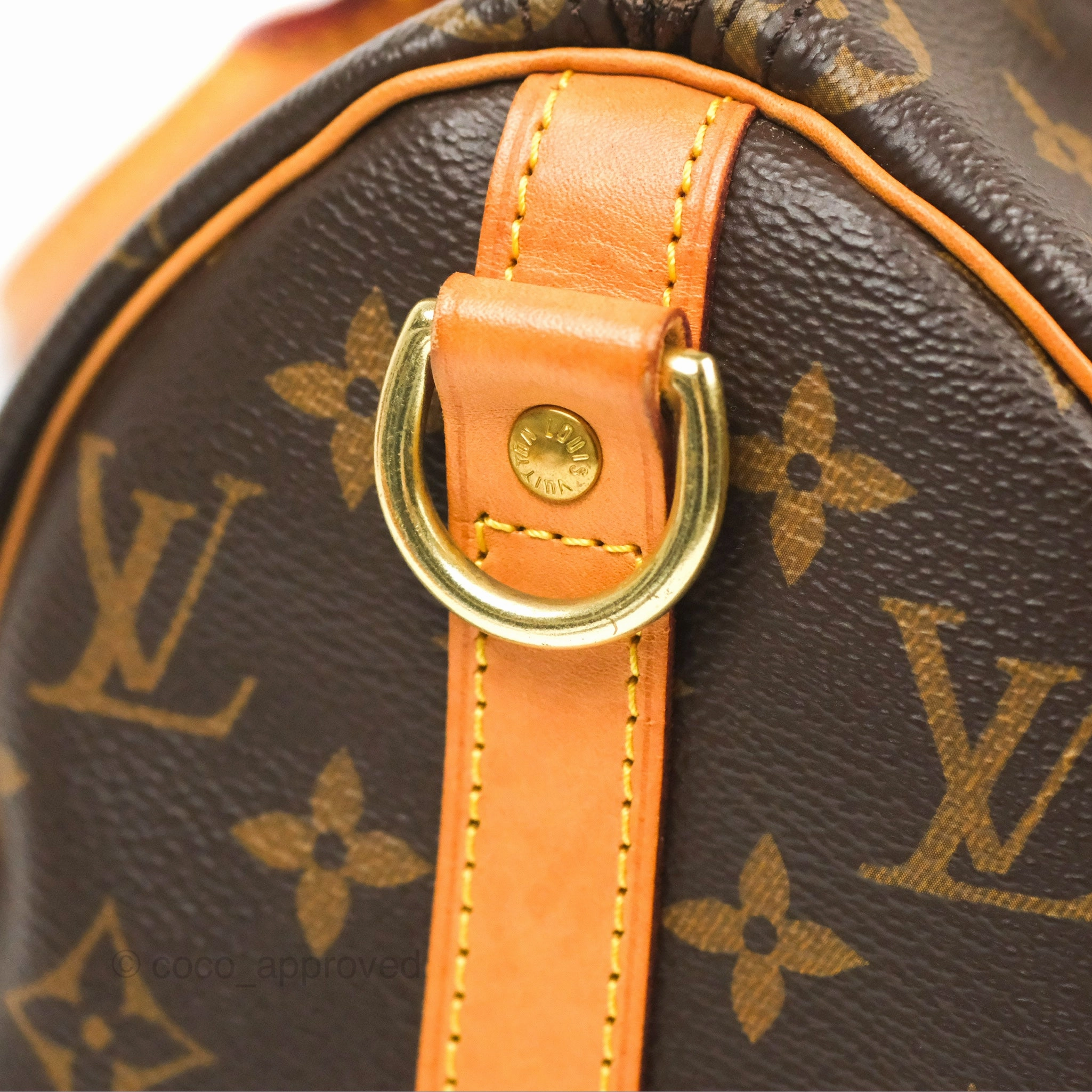 Louis Vuitton Speedy 25 Monogram Canvas