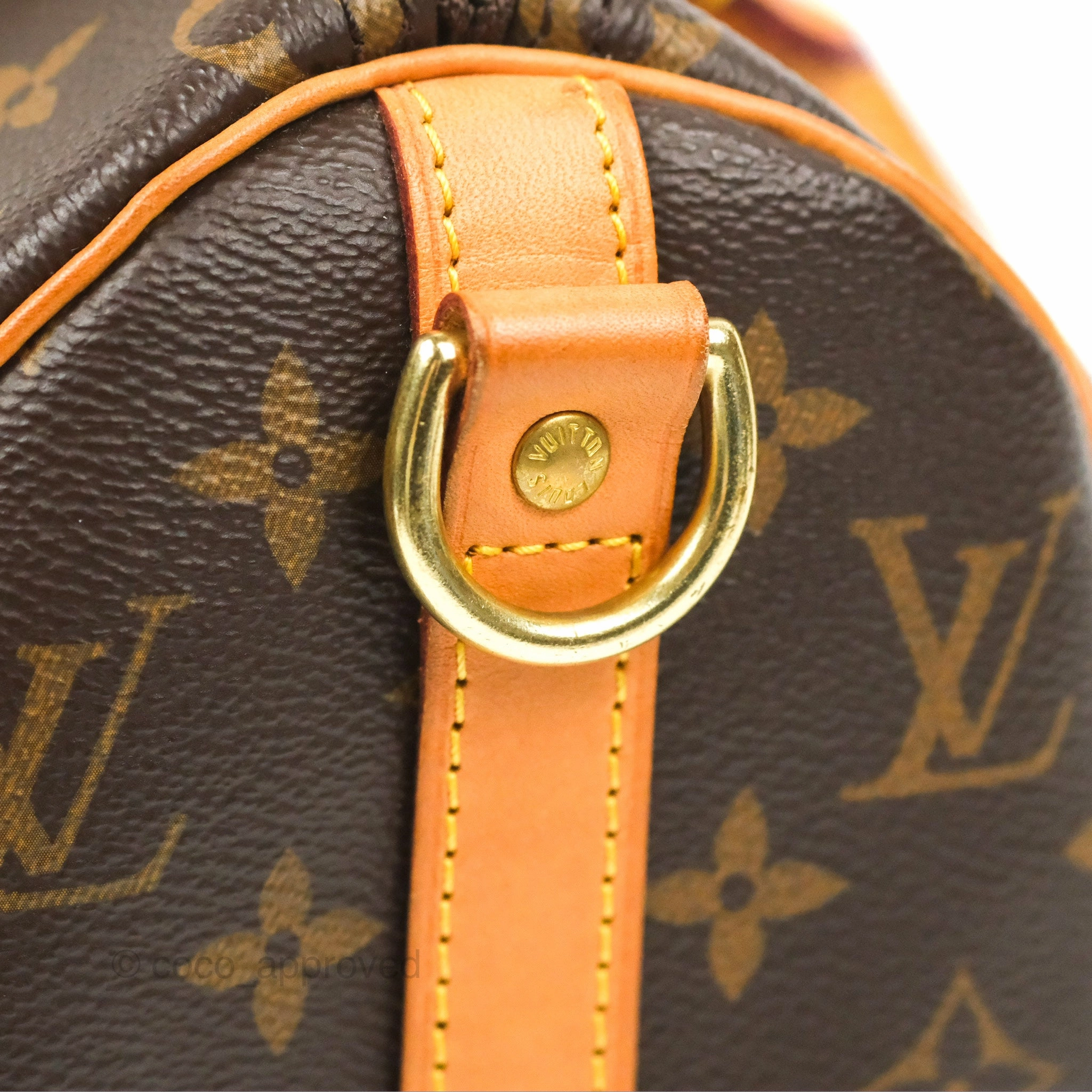 Louis Vuitton Speedy 25 Monogram Canvas
