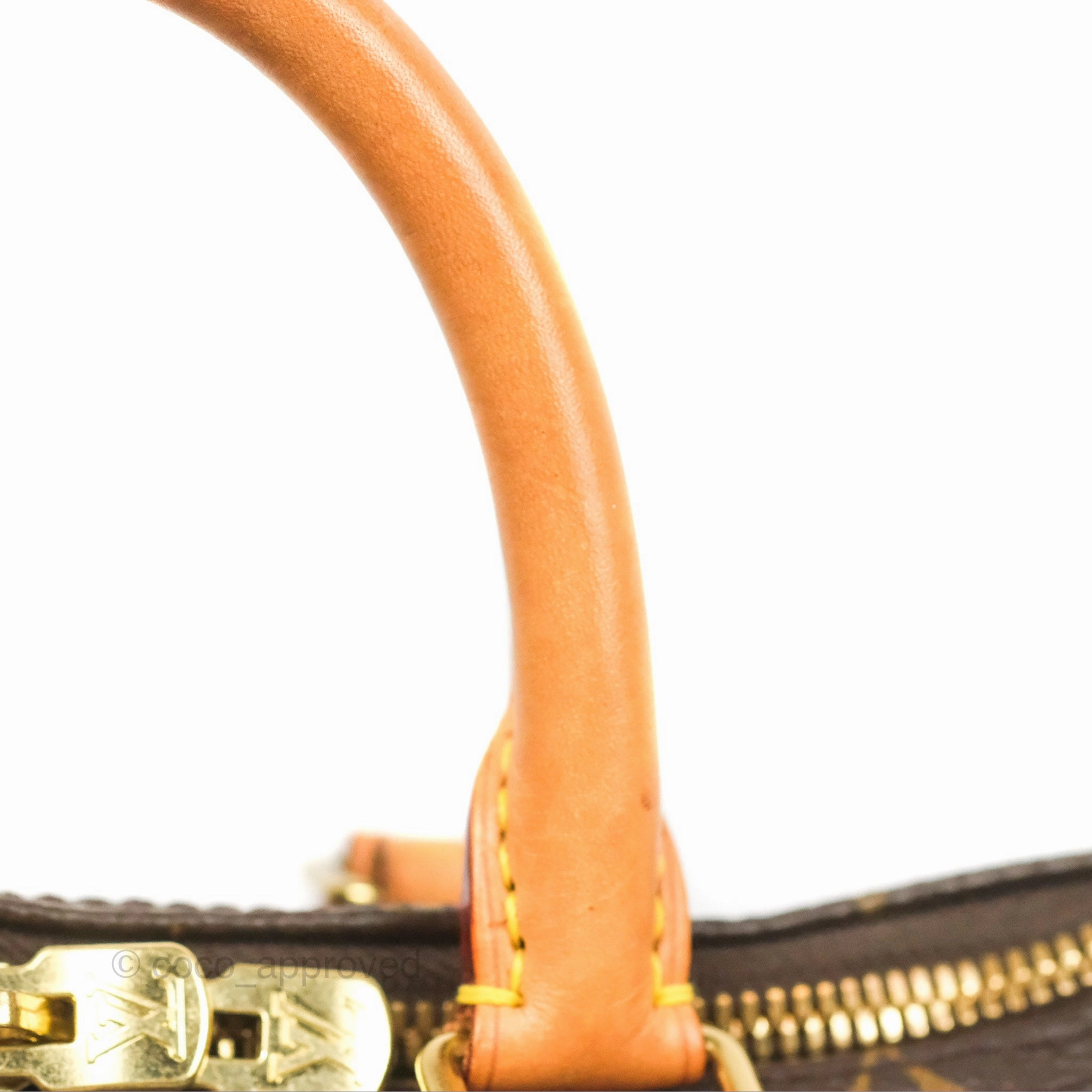 Louis Vuitton Speedy 25 Monogram Canvas