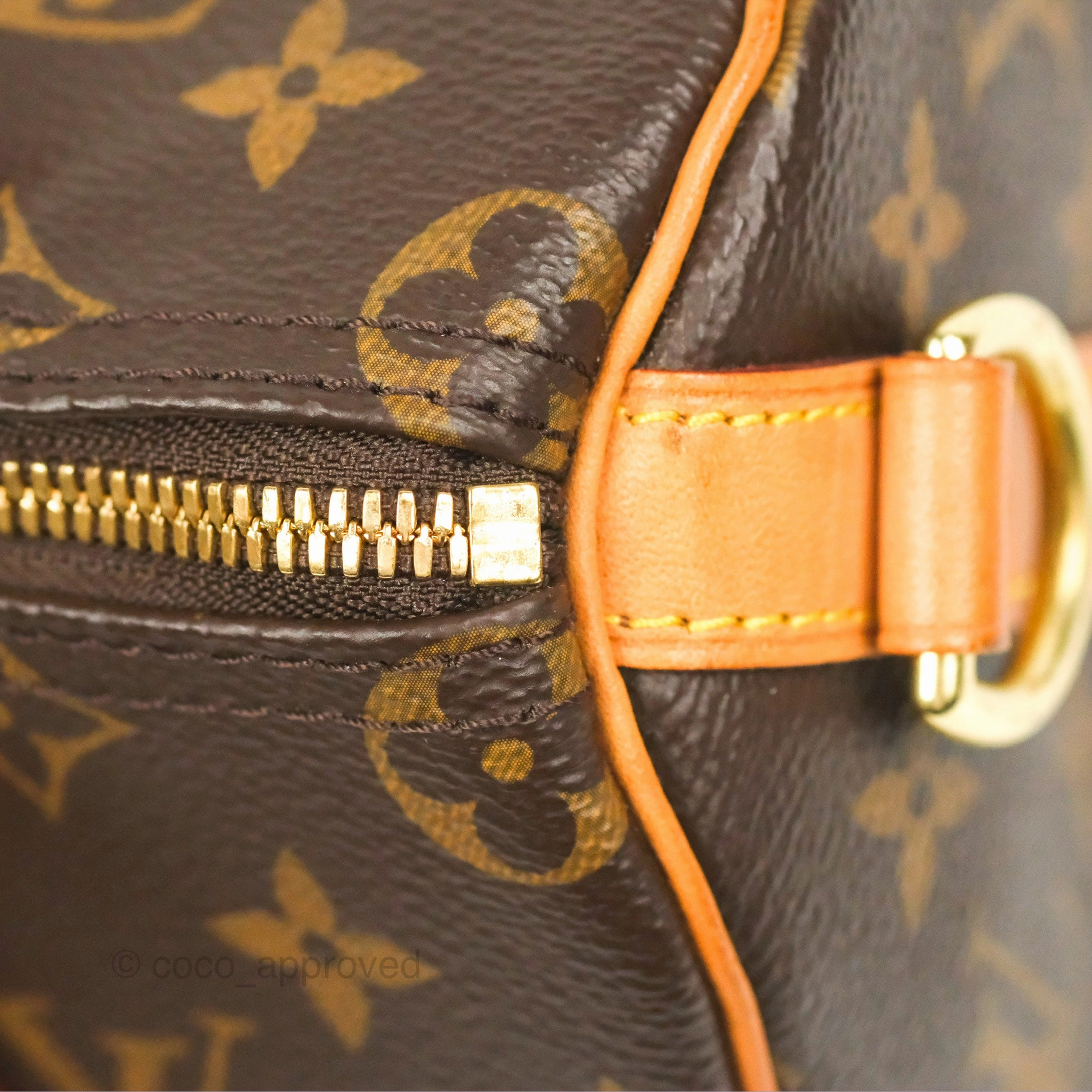 Louis Vuitton Speedy 25 Monogram Canvas