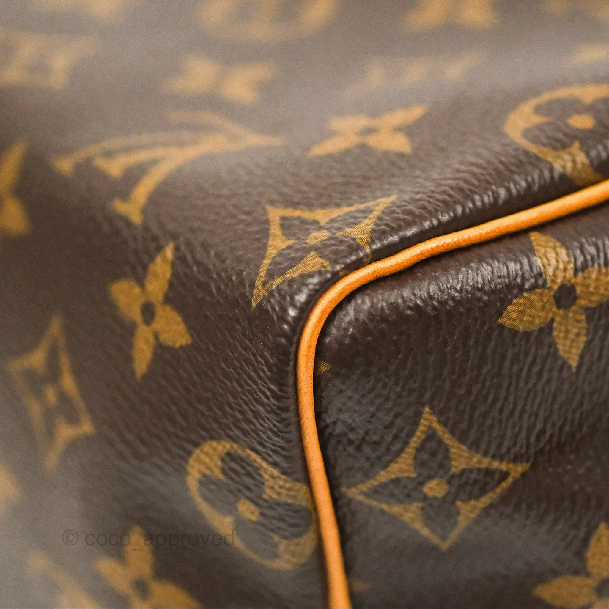 Louis Vuitton Speedy 25 Monogram Canvas