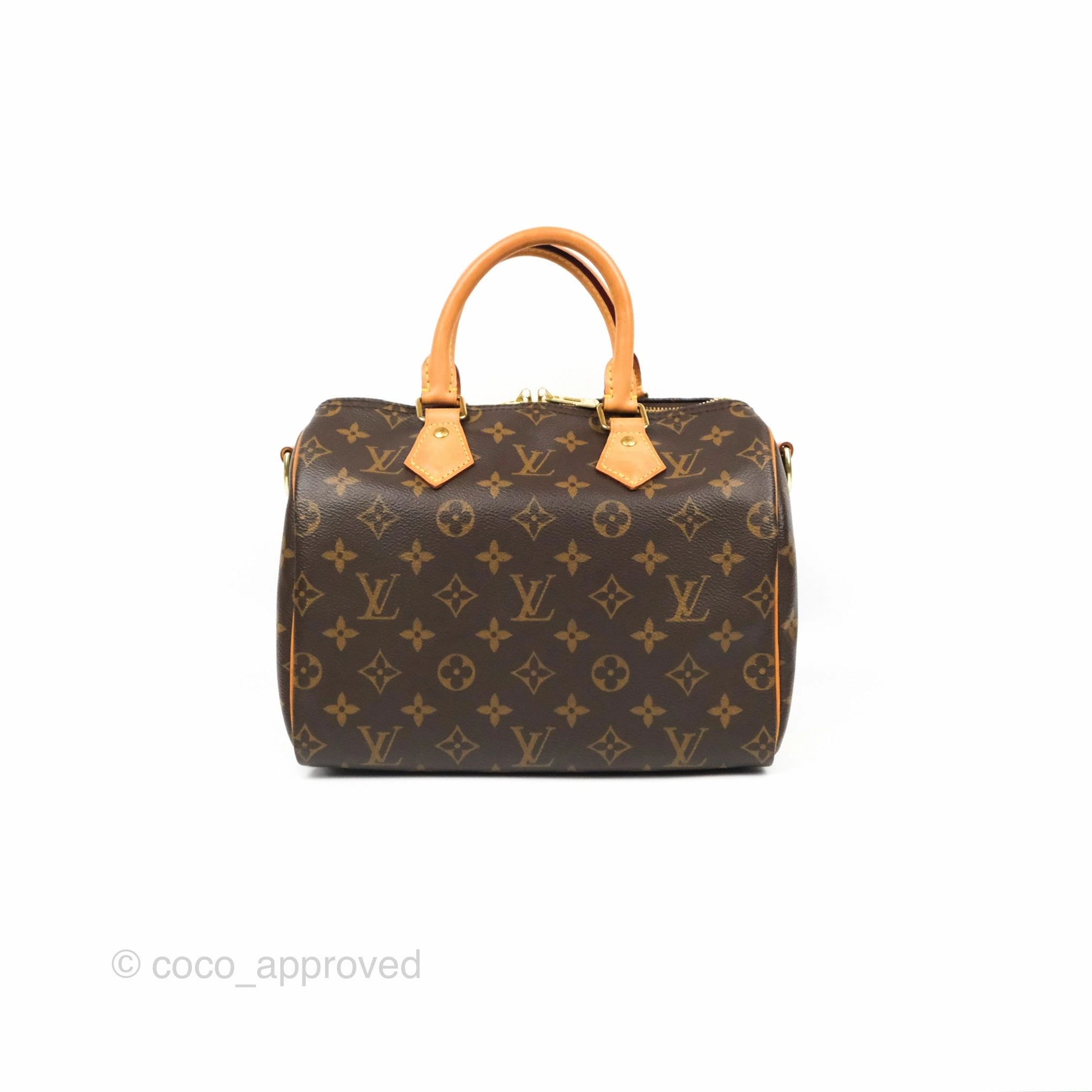 Louis Vuitton Speedy 25 Monogram Canvas