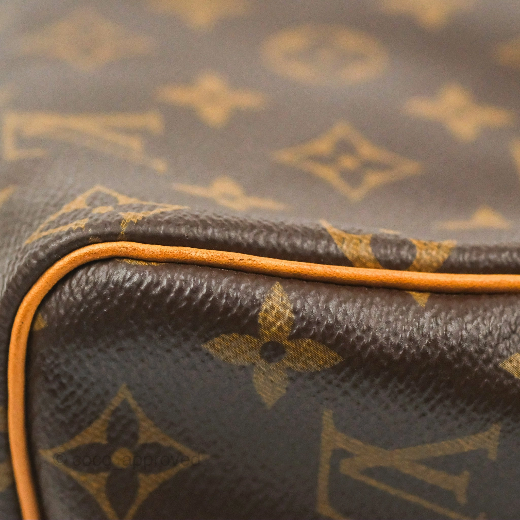 Louis Vuitton Speedy 25 Monogram Canvas