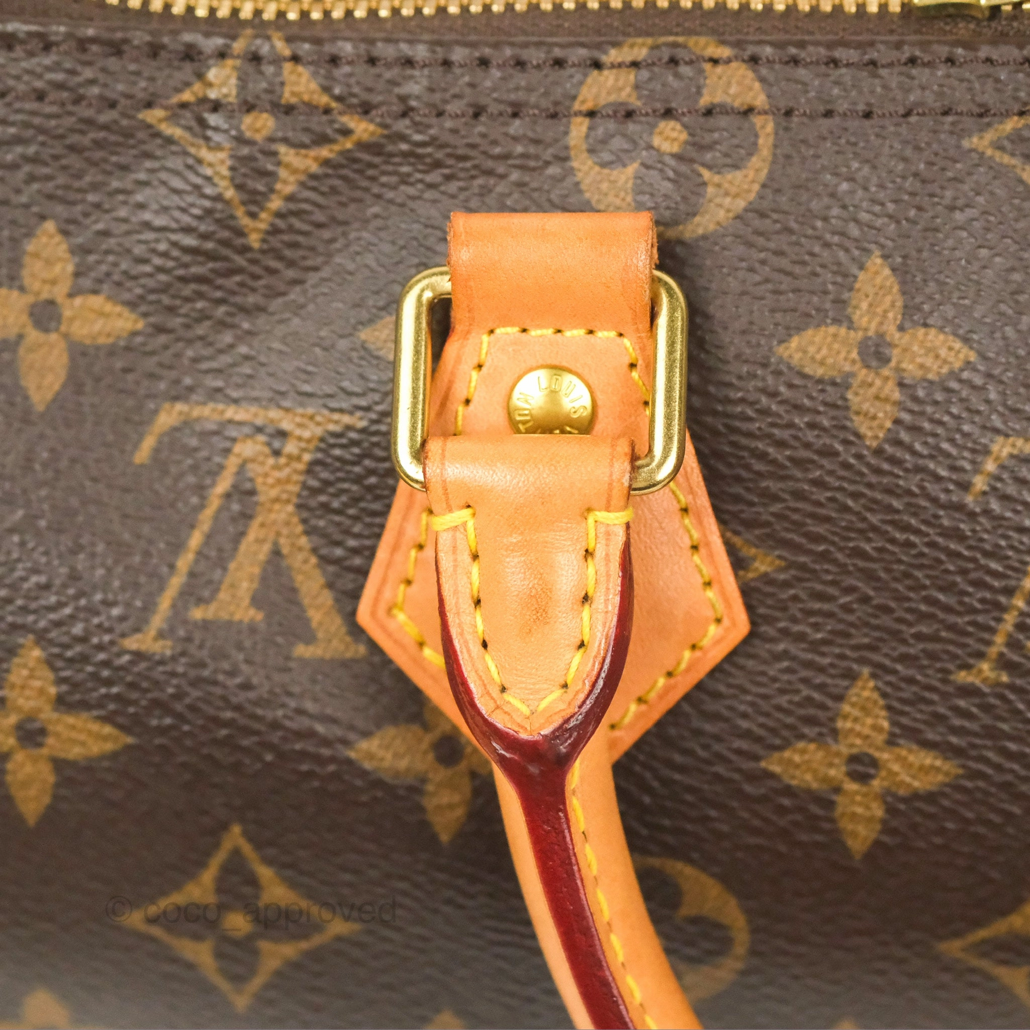 Louis Vuitton Speedy 25 Monogram Canvas