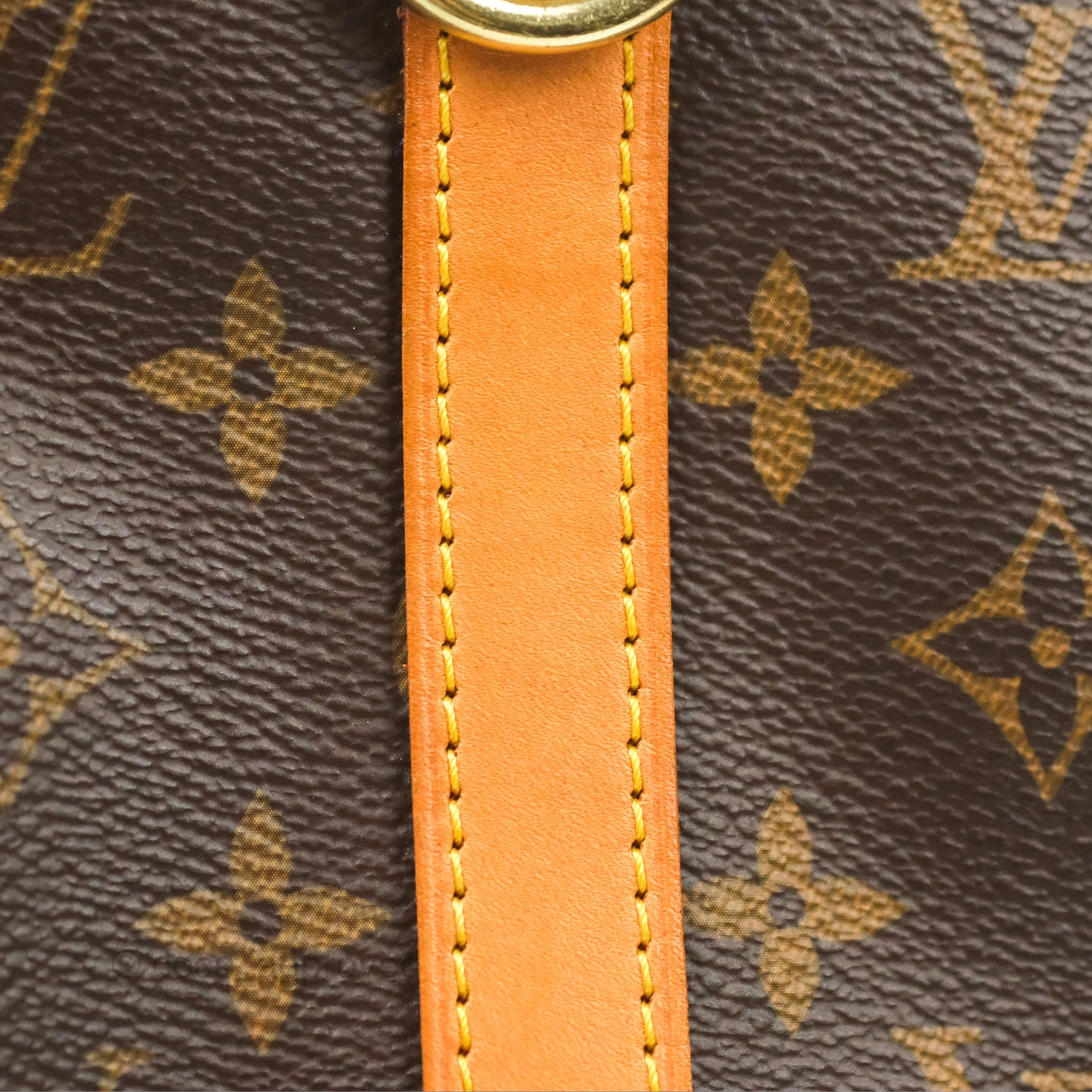 Louis Vuitton Speedy 25 Monogram Canvas