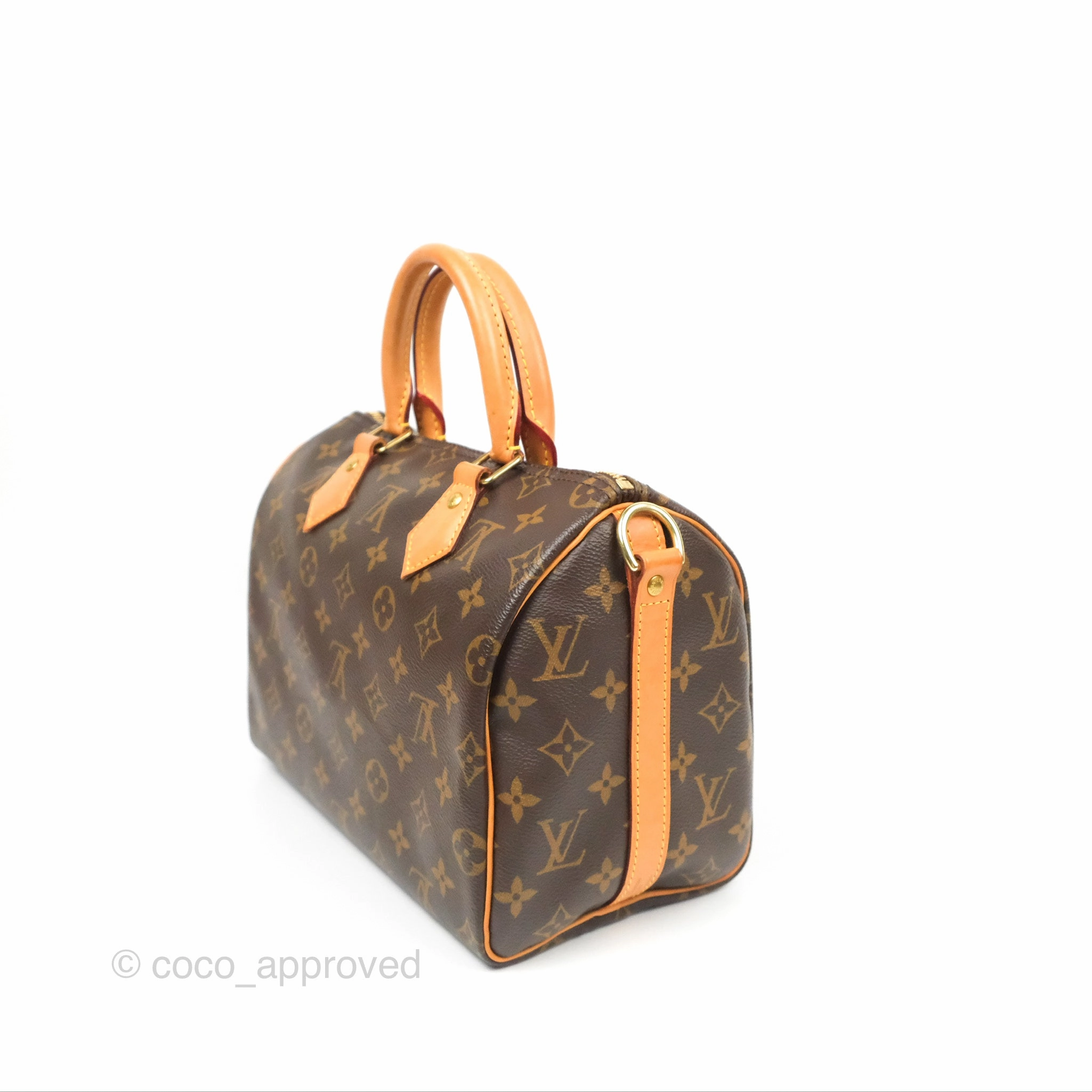 Louis Vuitton Speedy 25 Monogram Canvas