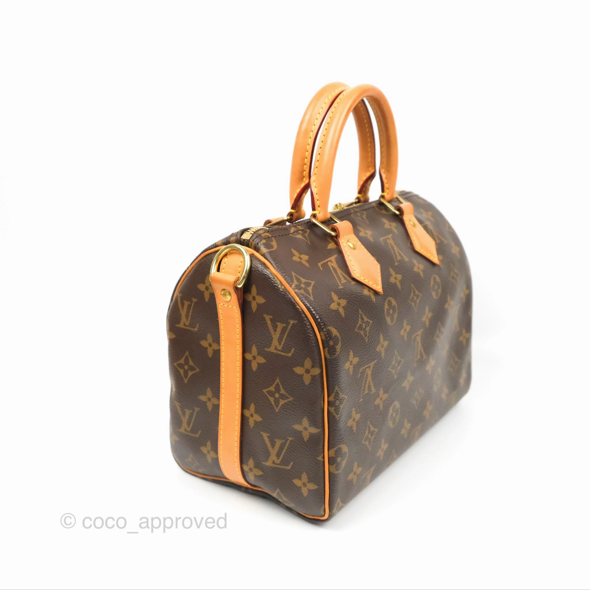 Louis Vuitton Speedy 25 Monogram Canvas