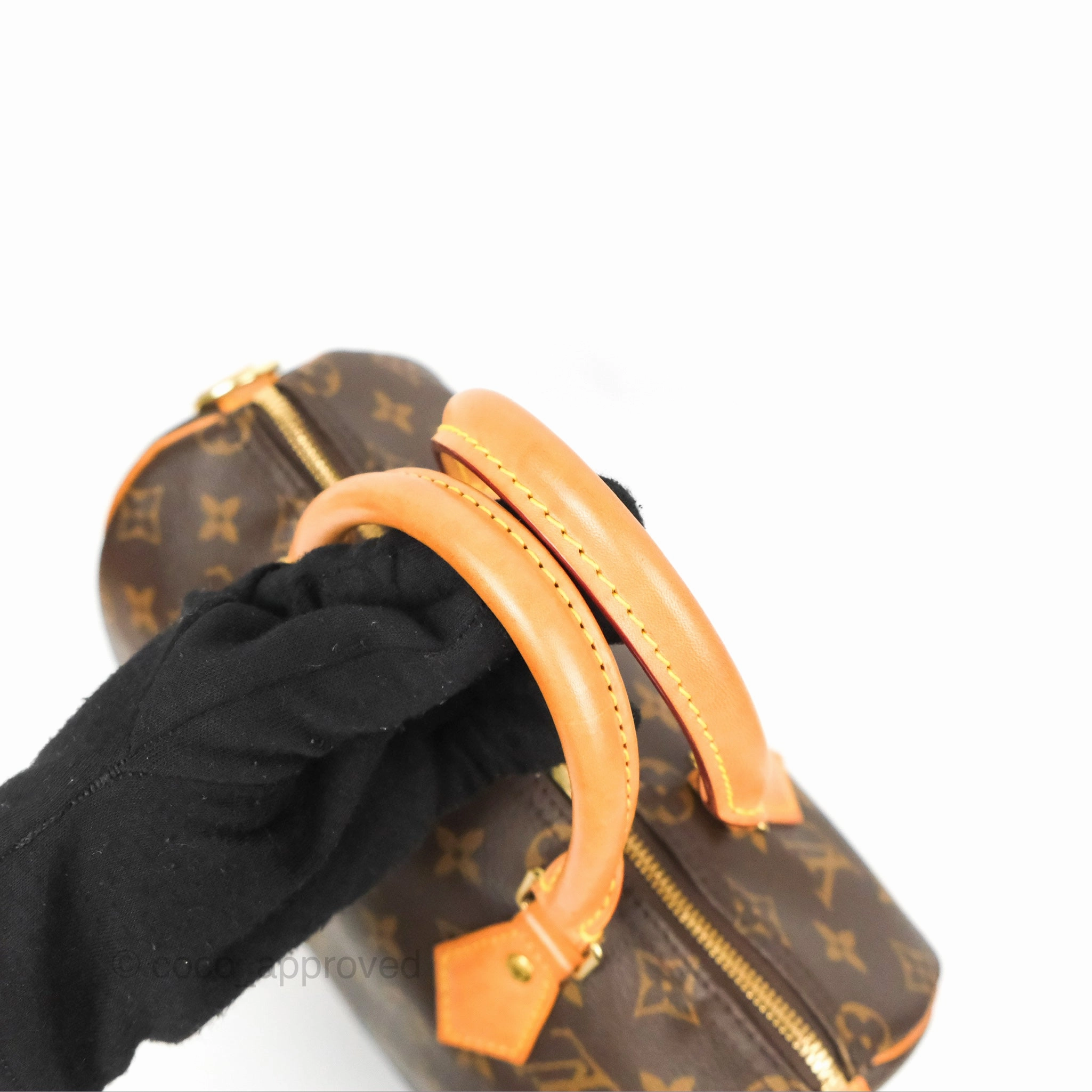 Louis Vuitton Speedy 25 Monogram Canvas