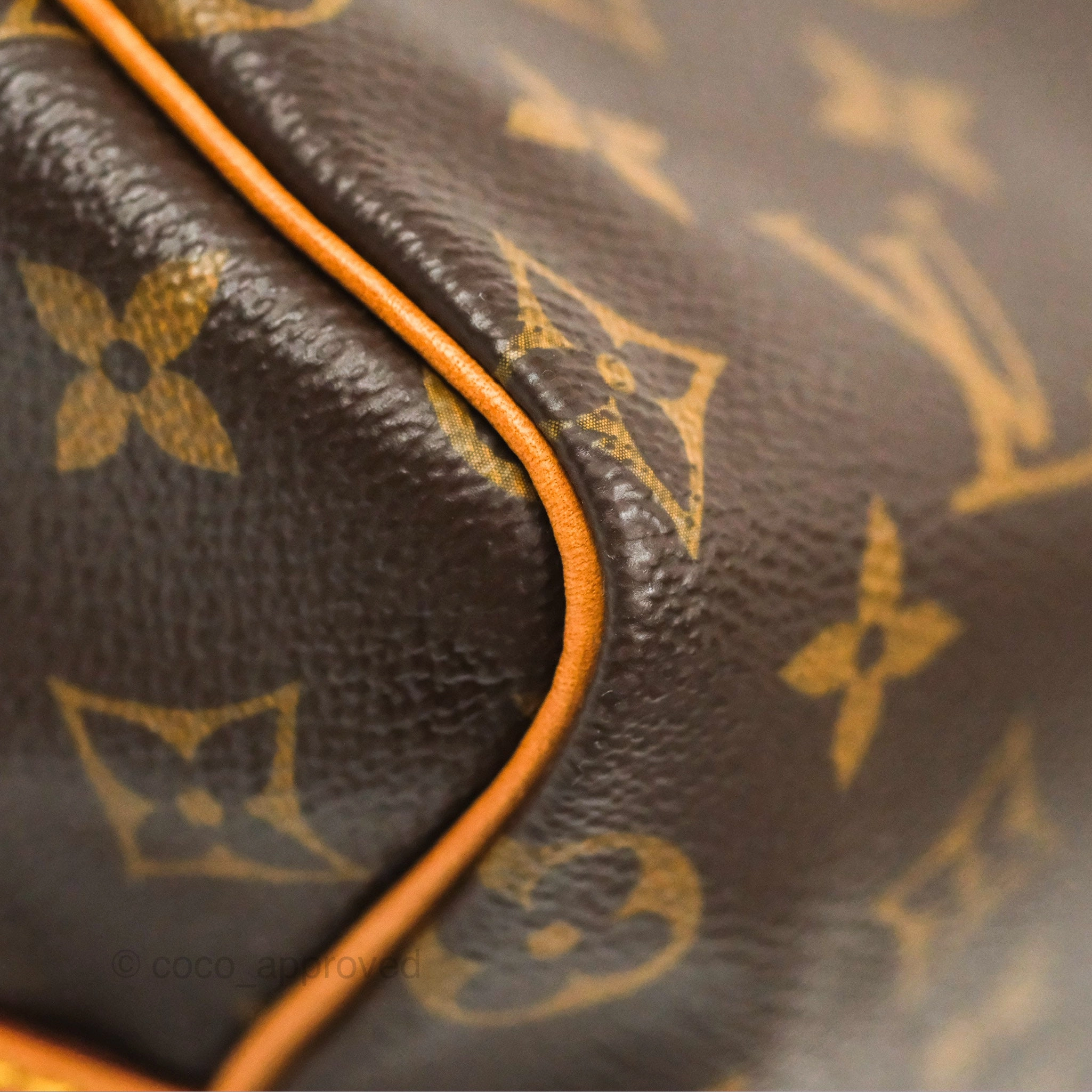 Louis Vuitton Speedy 25 Monogram Canvas