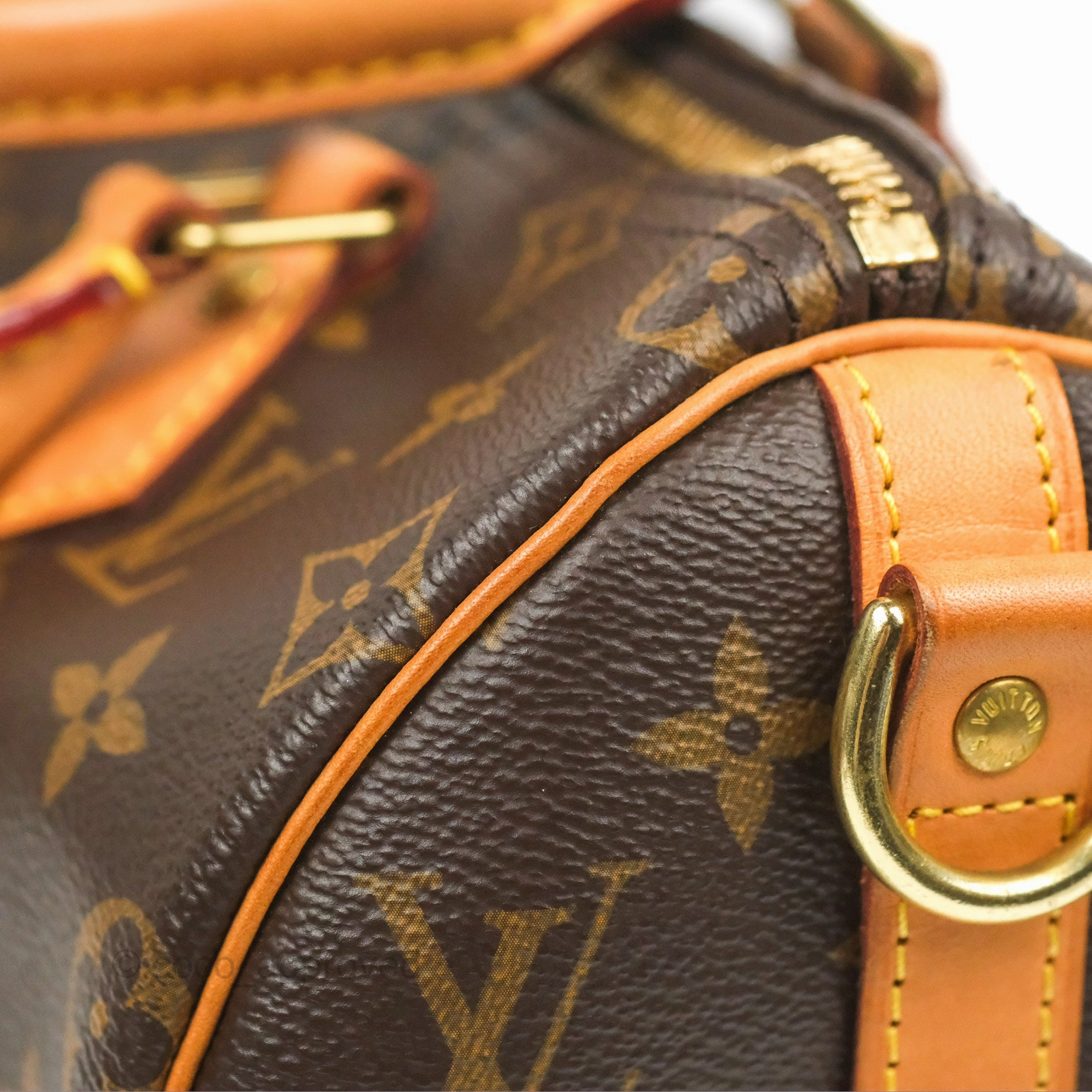 Louis Vuitton Speedy 25 Monogram Canvas