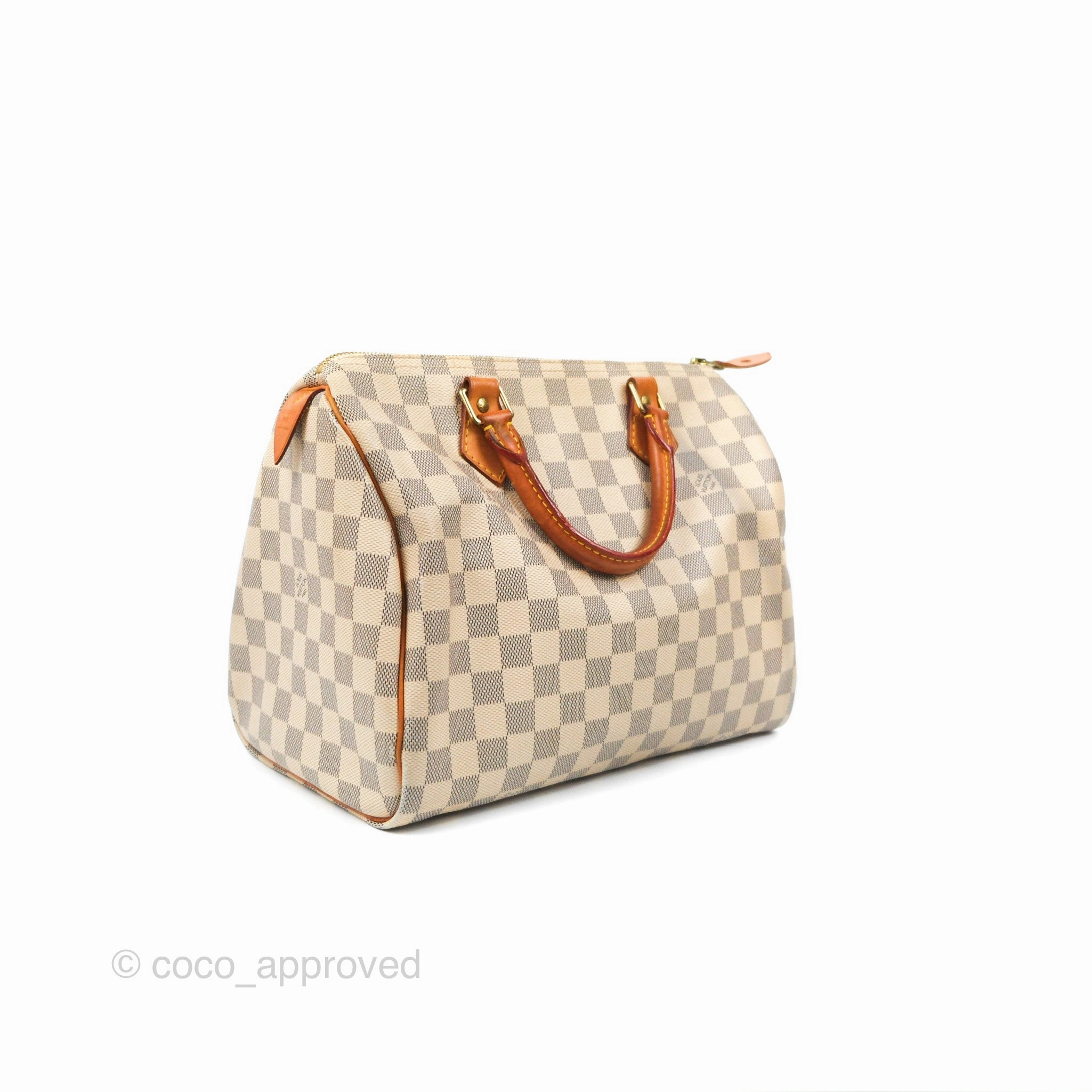 Louis Vuitton Speedy 30 Damier Azur Canvas