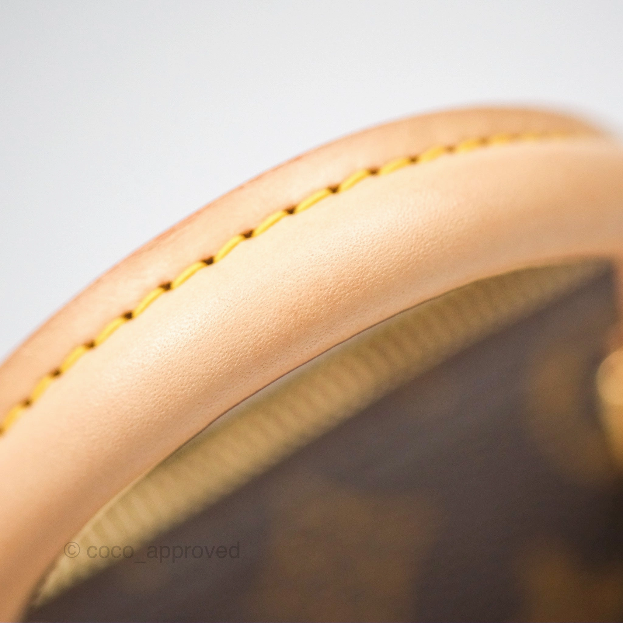 Louis Vuitton Speedy Bandoulire 20 Monogram