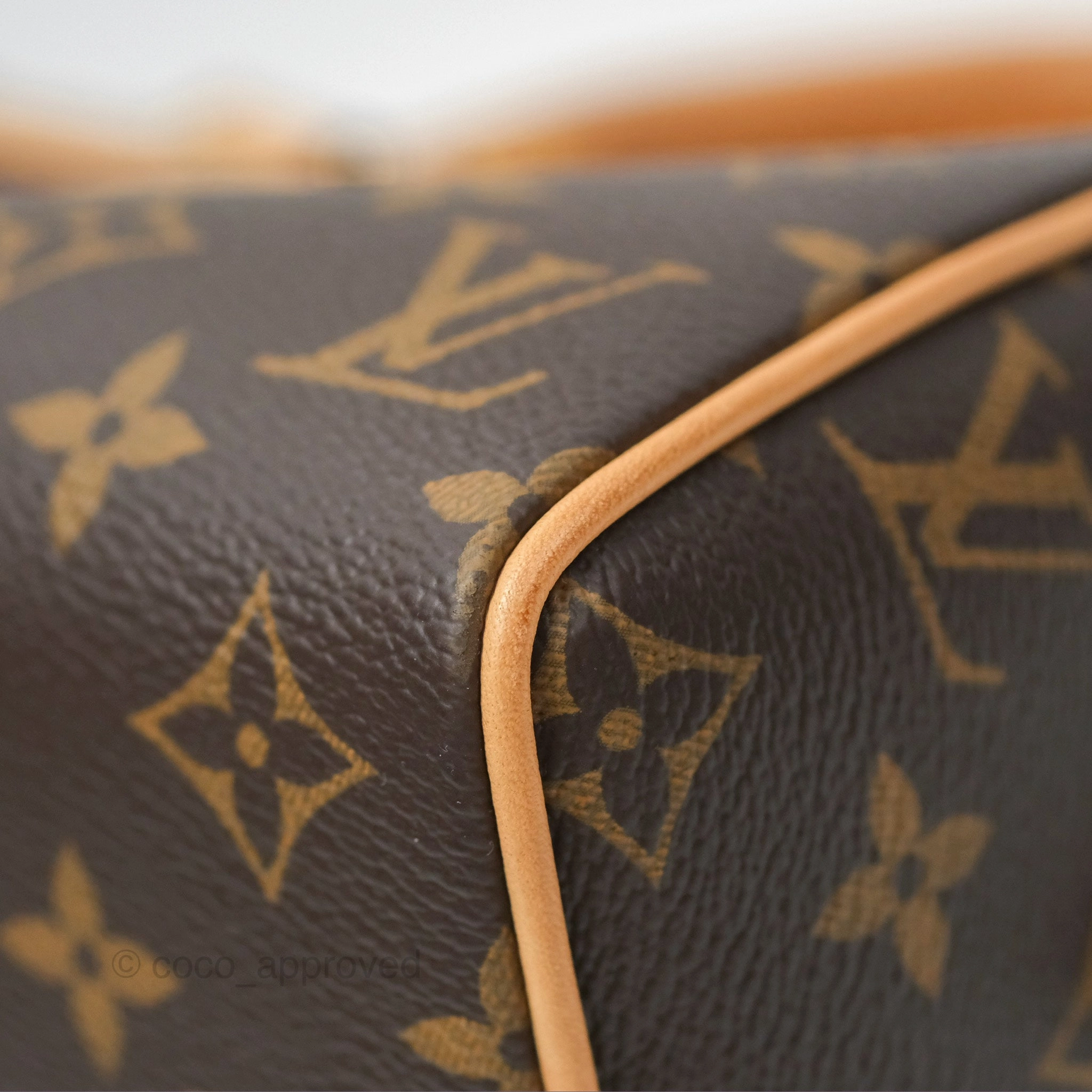 Louis Vuitton Speedy Bandoulire 20 Monogram